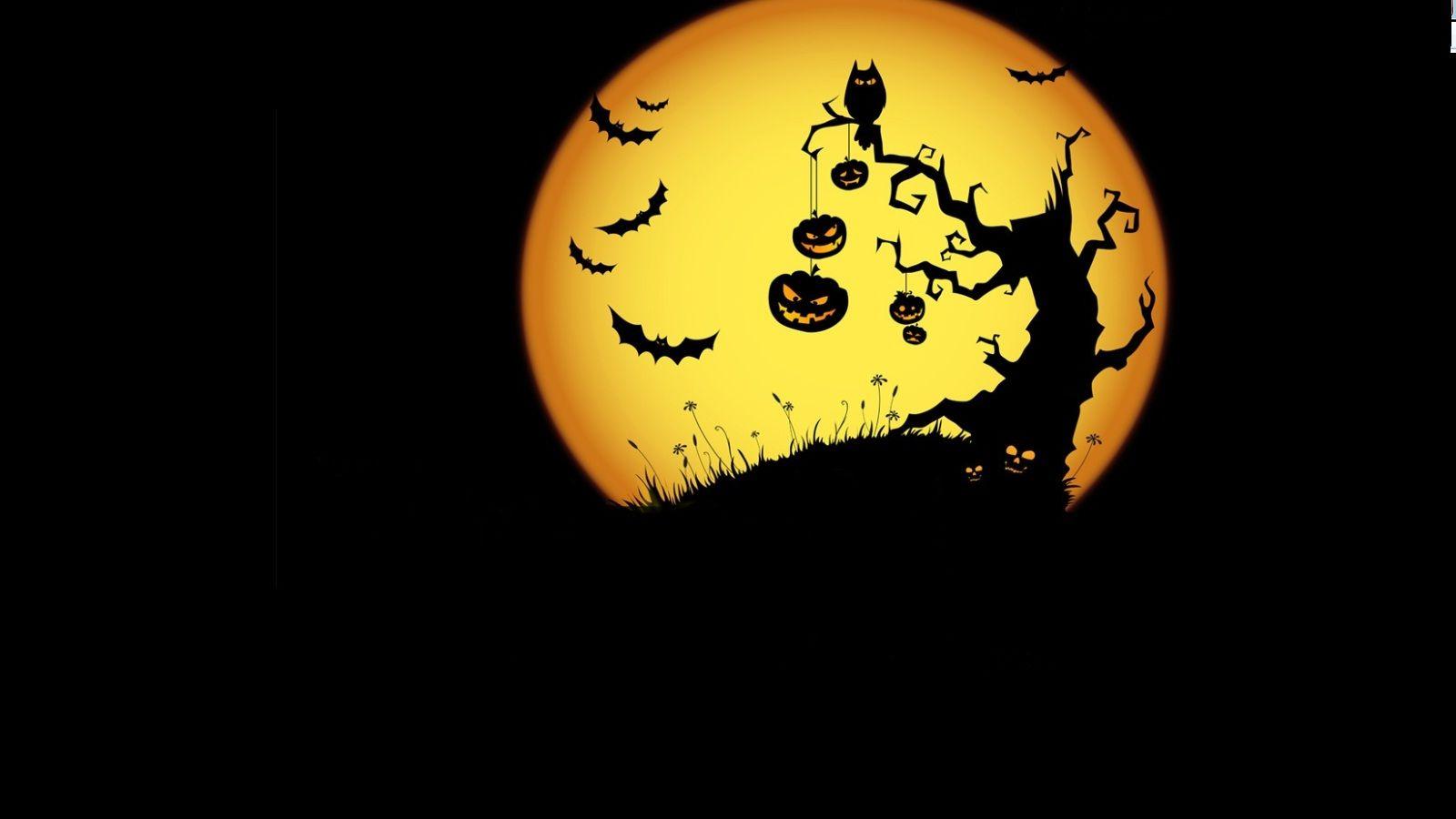 1600x900 Halloween / 1600x900 Wallpaper. Halloween wallpaper, Personalized halloween, Halloween owl