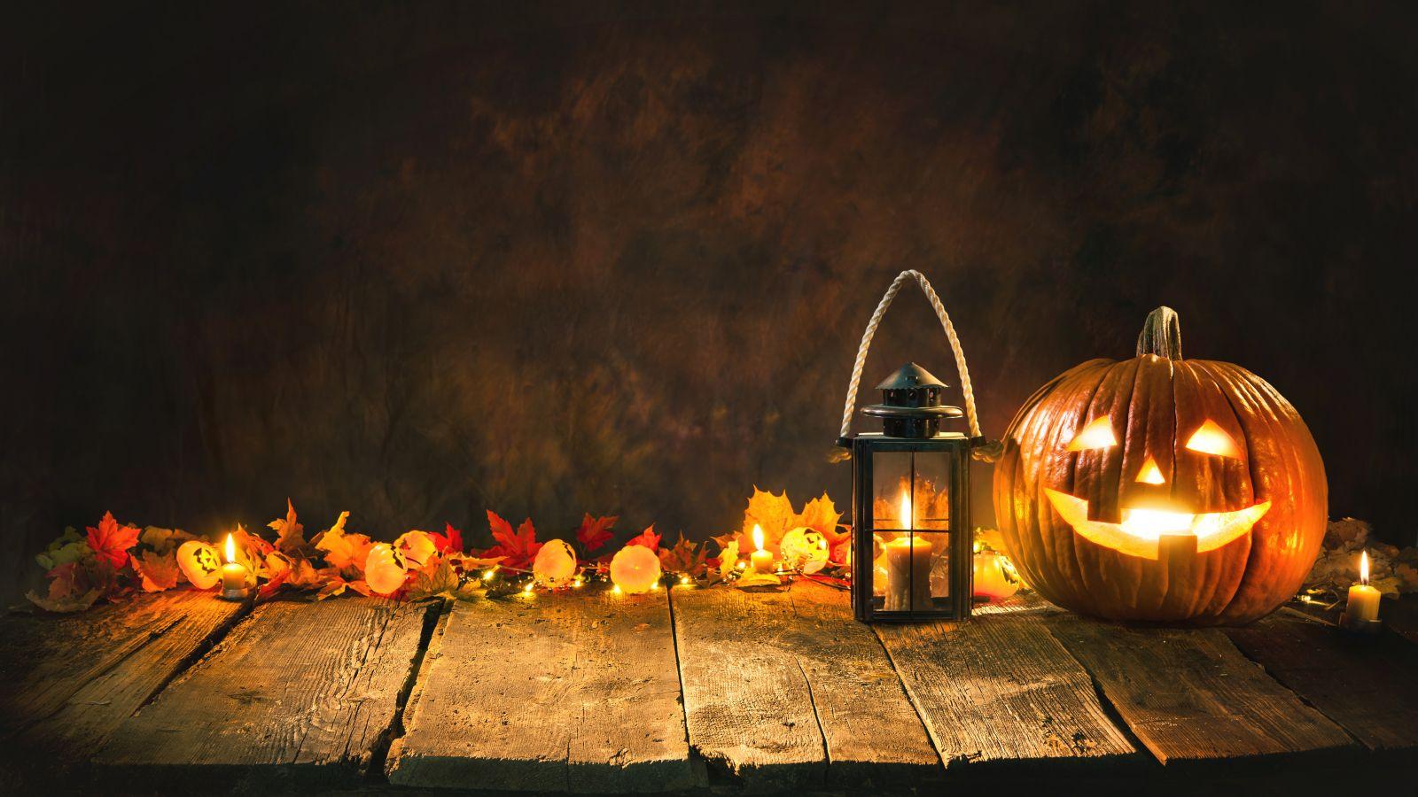 1600x900 Halloween 1600x900 Resolution Wallpaper, HD Holidays 4K Wallpaper, Image, Photo and Background