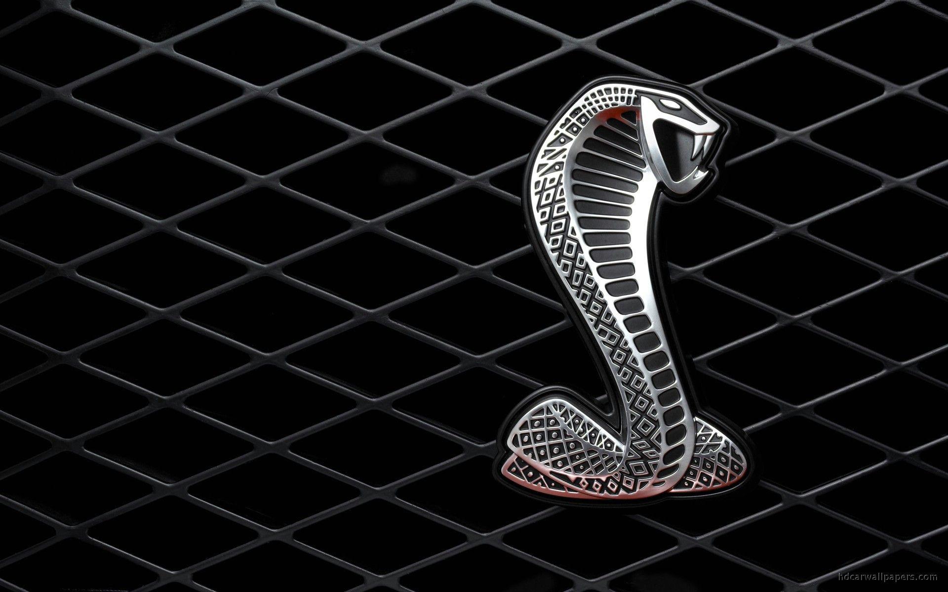 1920x1200 Cobra Wallpaper. Cobra Wallpaper Drawing, Cobra Snake Wallpaper and Cobra Wallpaper