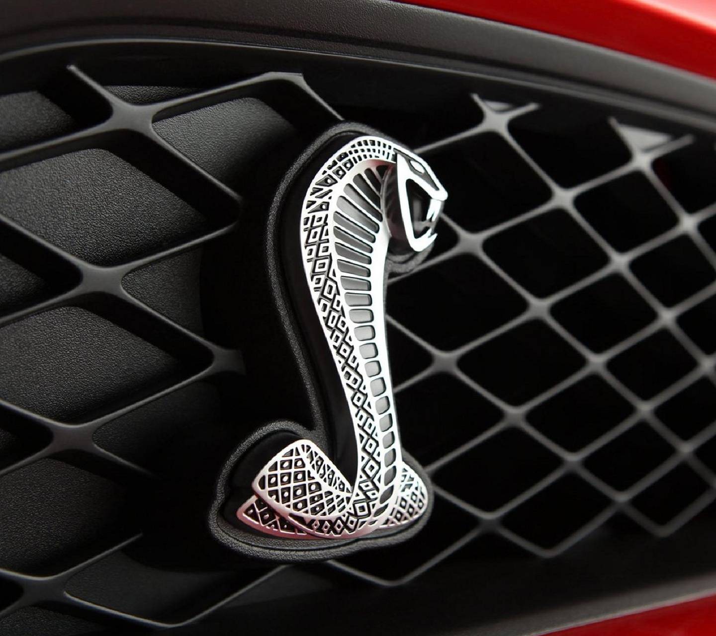 1440x1280 Mustang Cobra Logo wallpaper
