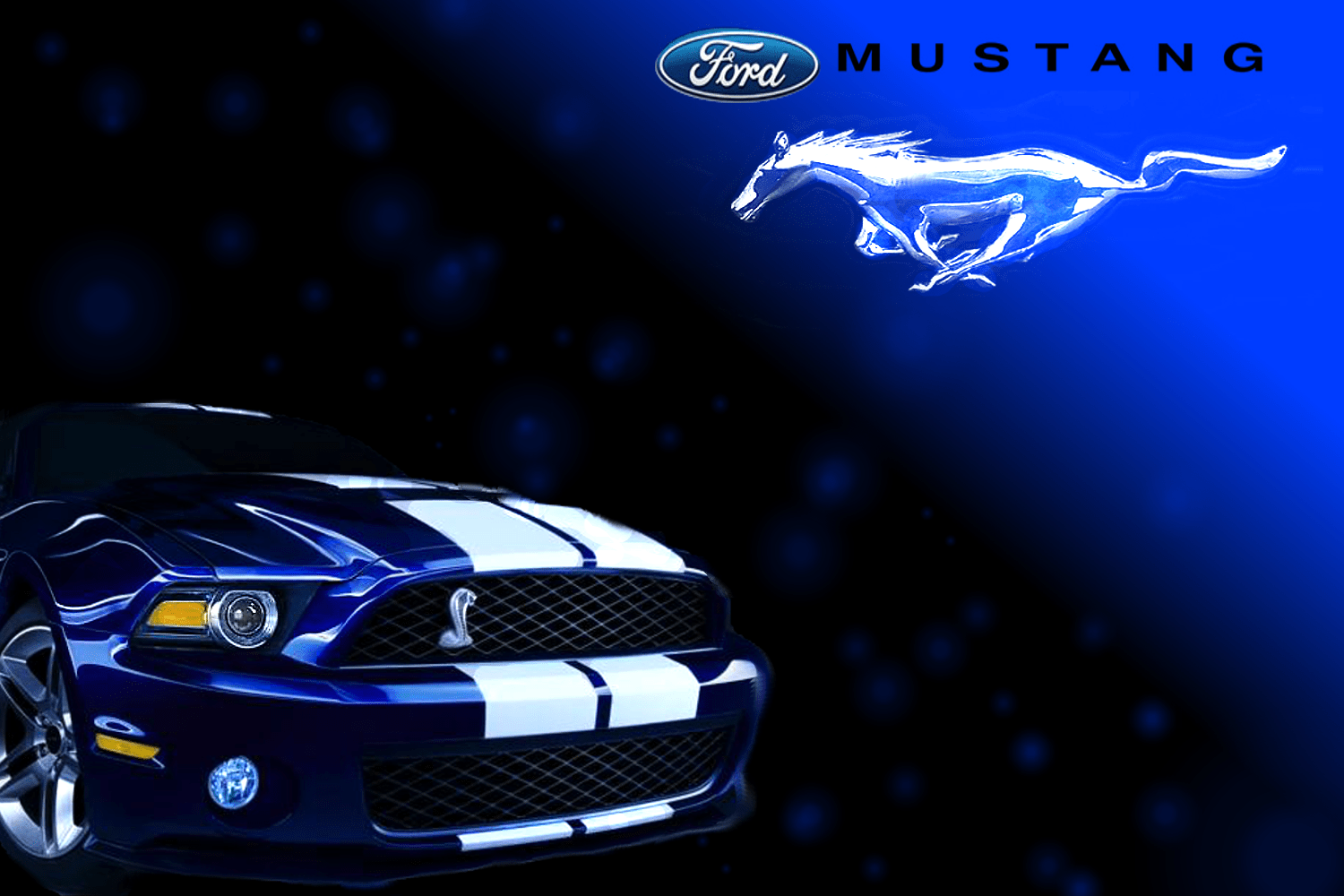1500x1000 Free download Ford Mustang Cobra Logo Wallpaper Shelby cobra gt500 wallpaper [1500x1000] for your Desktop, Mobile & Tablet. Explore Mustang Emblem Wallpaper. Ford Logo Wallpaper, Shelby Mustang Wallpaper, Ford