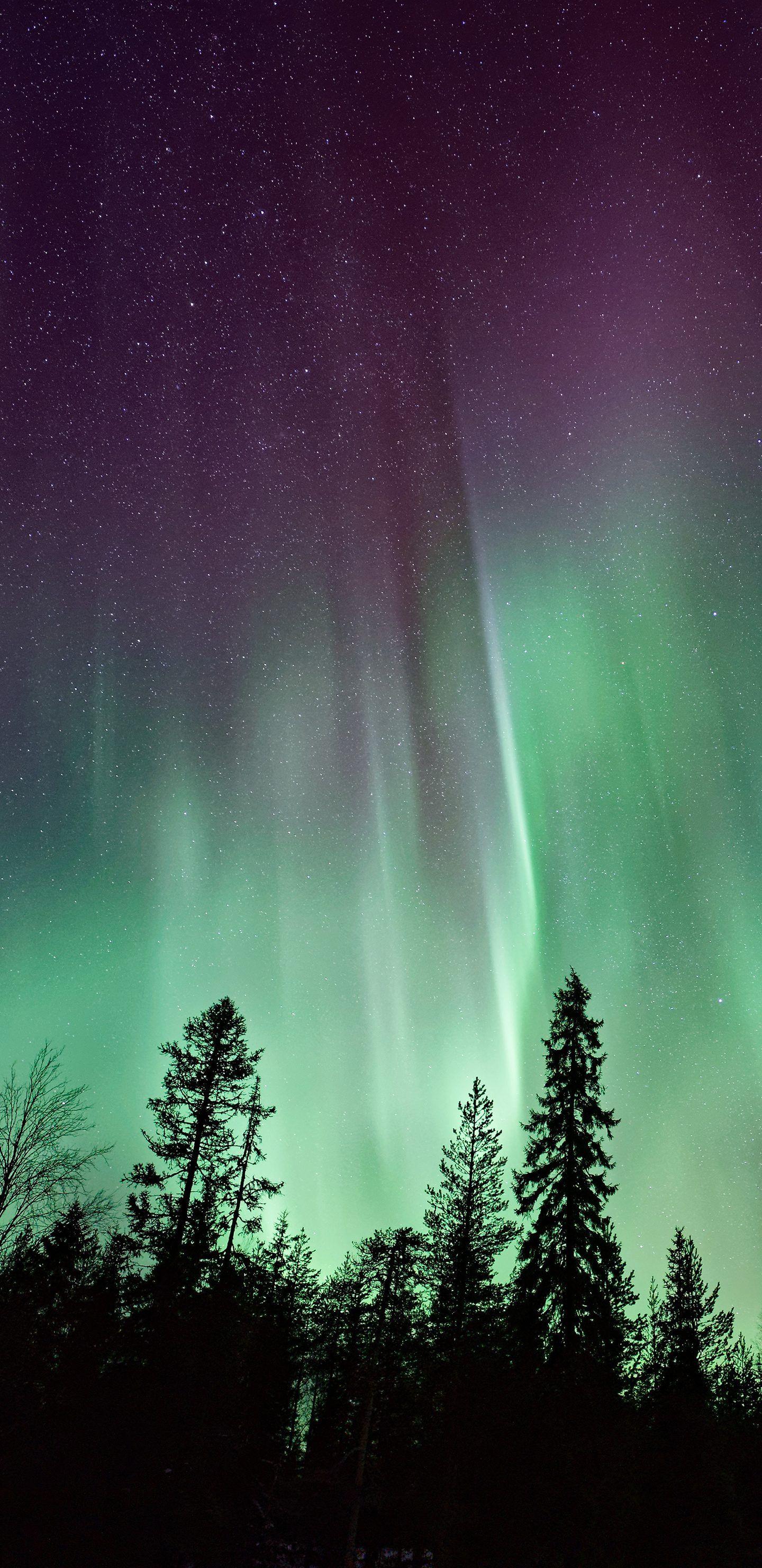 1440x2960 Wallpaper Hp Samsung Galaxy Note 8