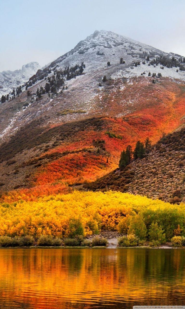 768x1280 Apple Mac OS X High Sierra Ultra HD Desktop Background Wallpaper for 4K UHD TV : Widescreen & UltraWide Desktop & Laptop : Multi Display, Dual Monitor : Tablet