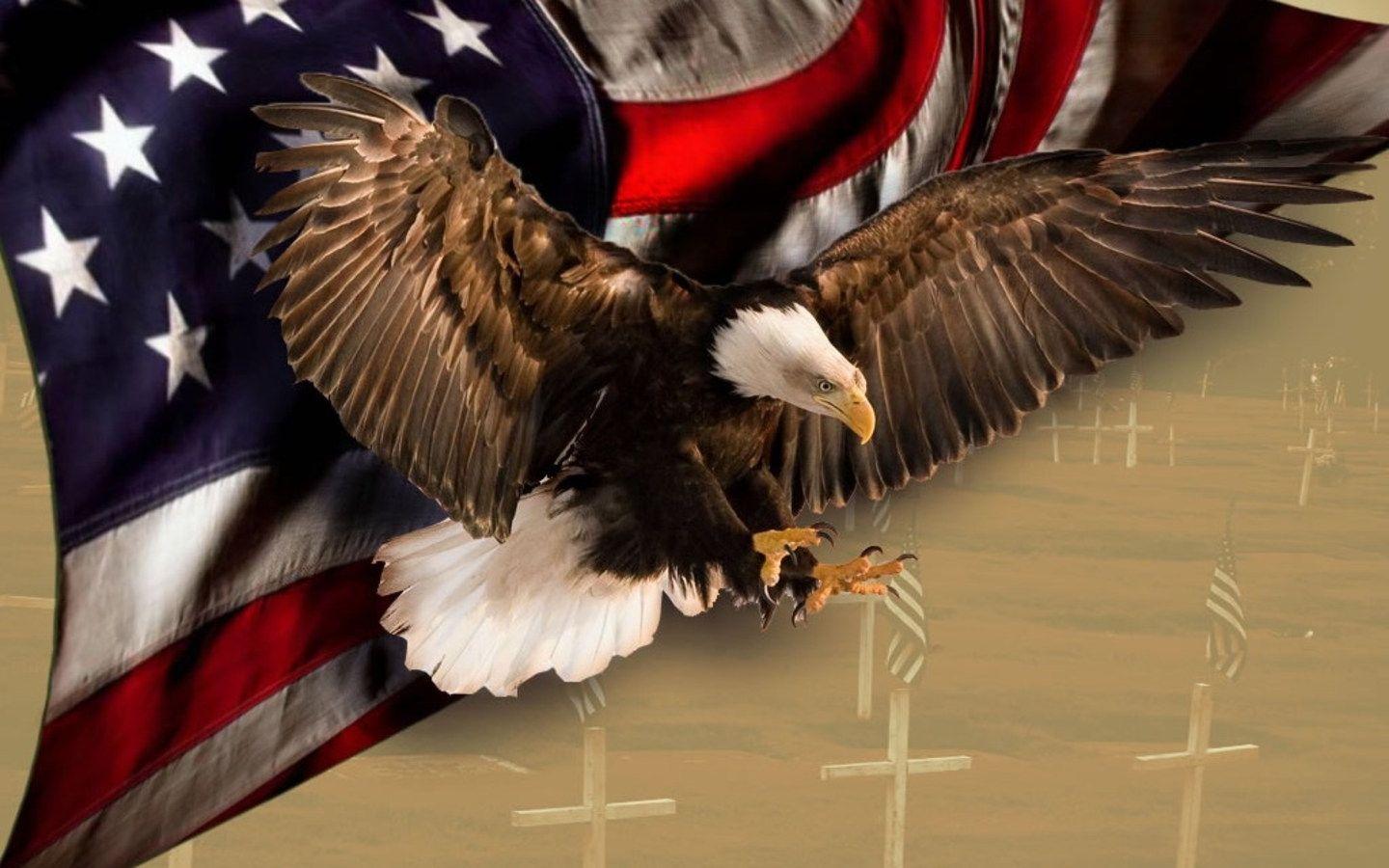 HD wallpaper american flag eagle united states usa  Wallpaper Flare