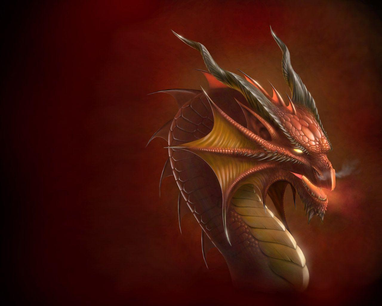 1280x1024 Harry Potter: Dragon Wallpaper