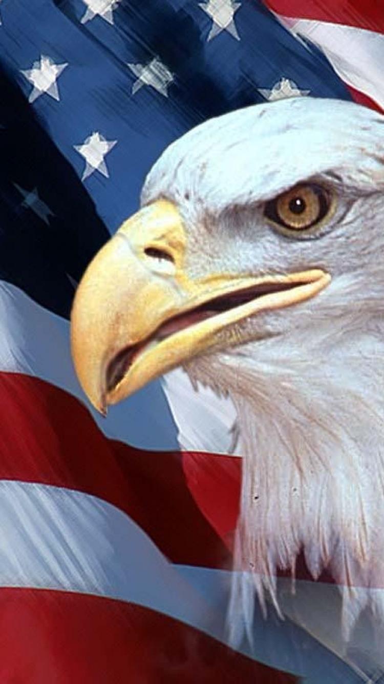 USA Eagle Wallpapers - Top Free USA Eagle Backgrounds - WallpaperAccess