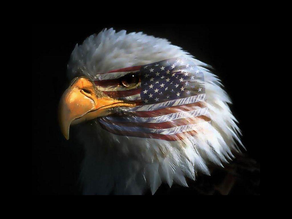 1024x768 American Eagle Wallpaper Mobile Is 4K Wallpaper