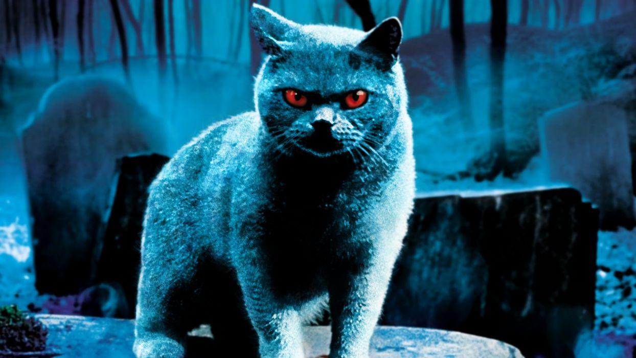 1244x700 PET SEMATARY horror dark king fantasy petsematary cat demon wallpaperx1080