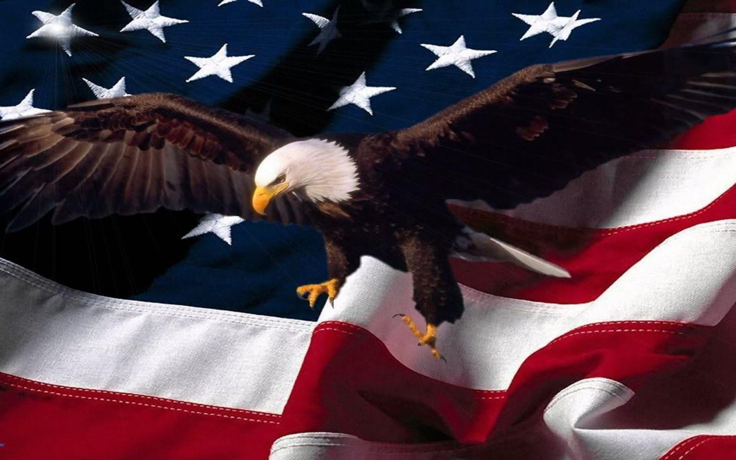 Patriotic Bald Eagle Wallpapers - Top Free Patriotic Bald Eagle