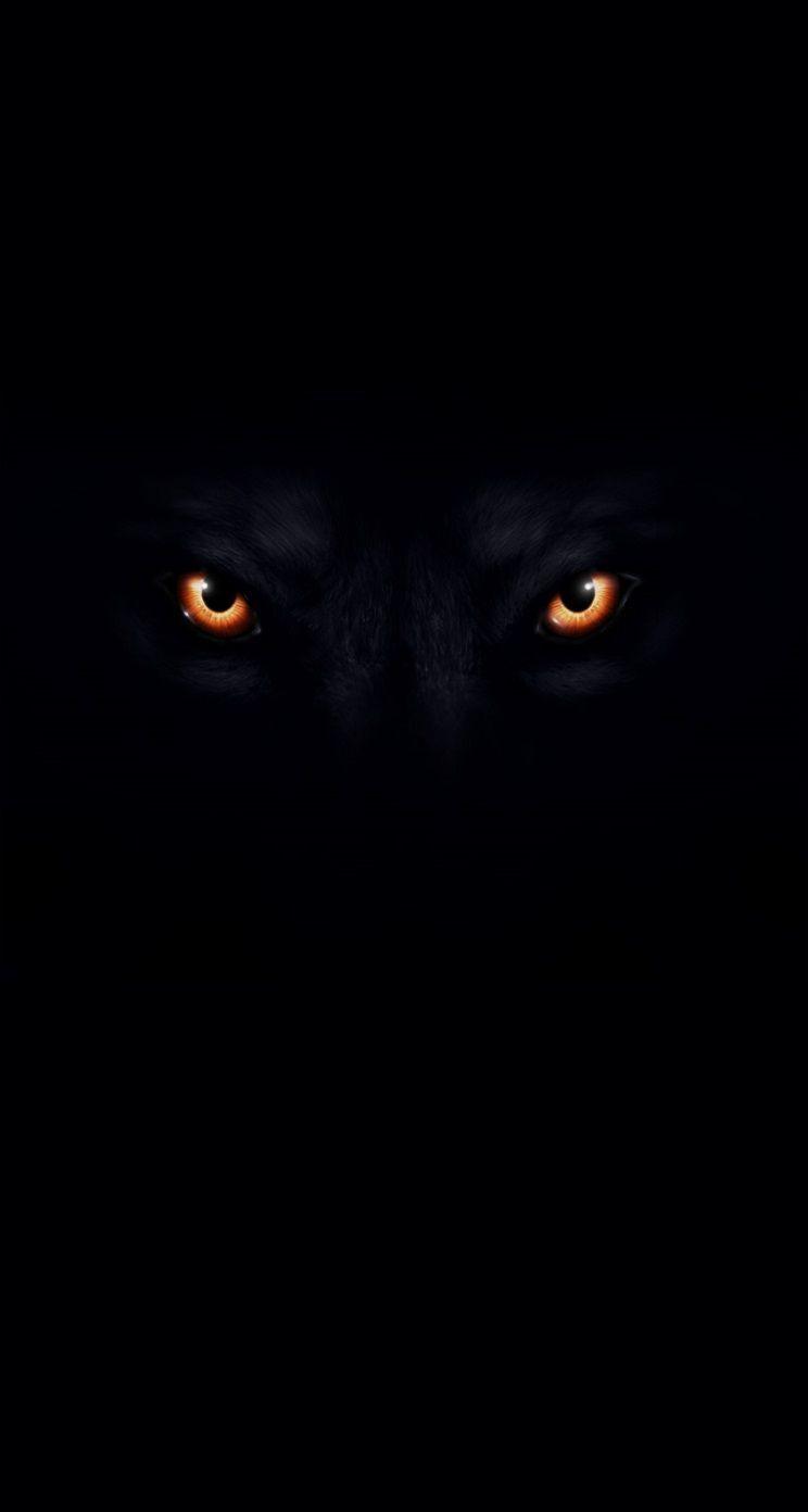Hình ảnh con sói 744x1392 với nền đen.  Hình nền chó sói đen và trắng