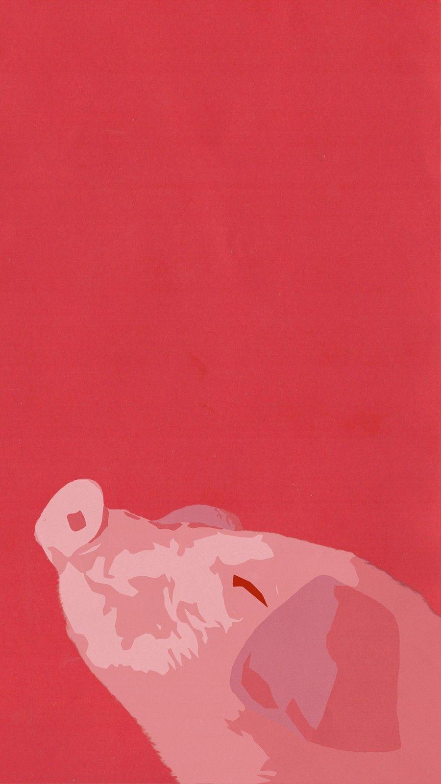 900x1600 Pig Wallpaper Phone Versions