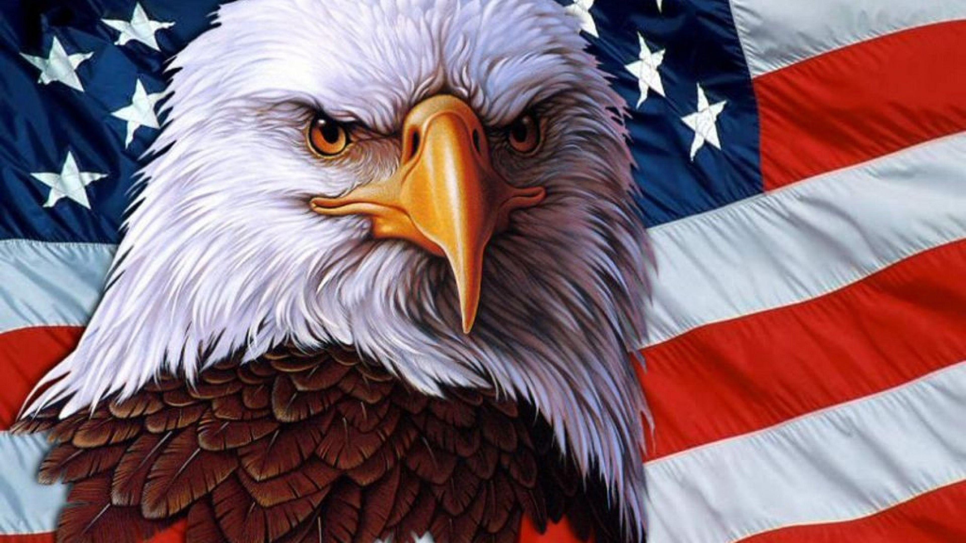 3840x2160 American Eagle Symbol Usa Independence Freedom 3840x216