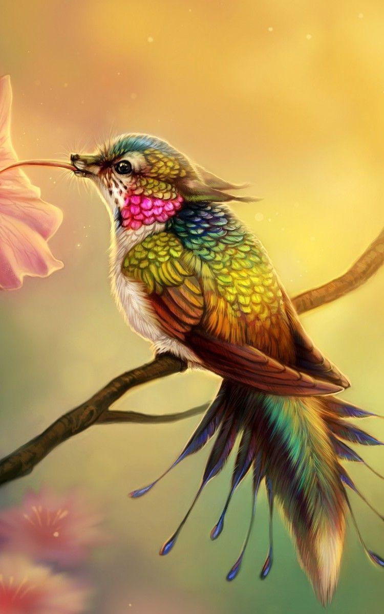 beautiful birds wallpaper for mobile