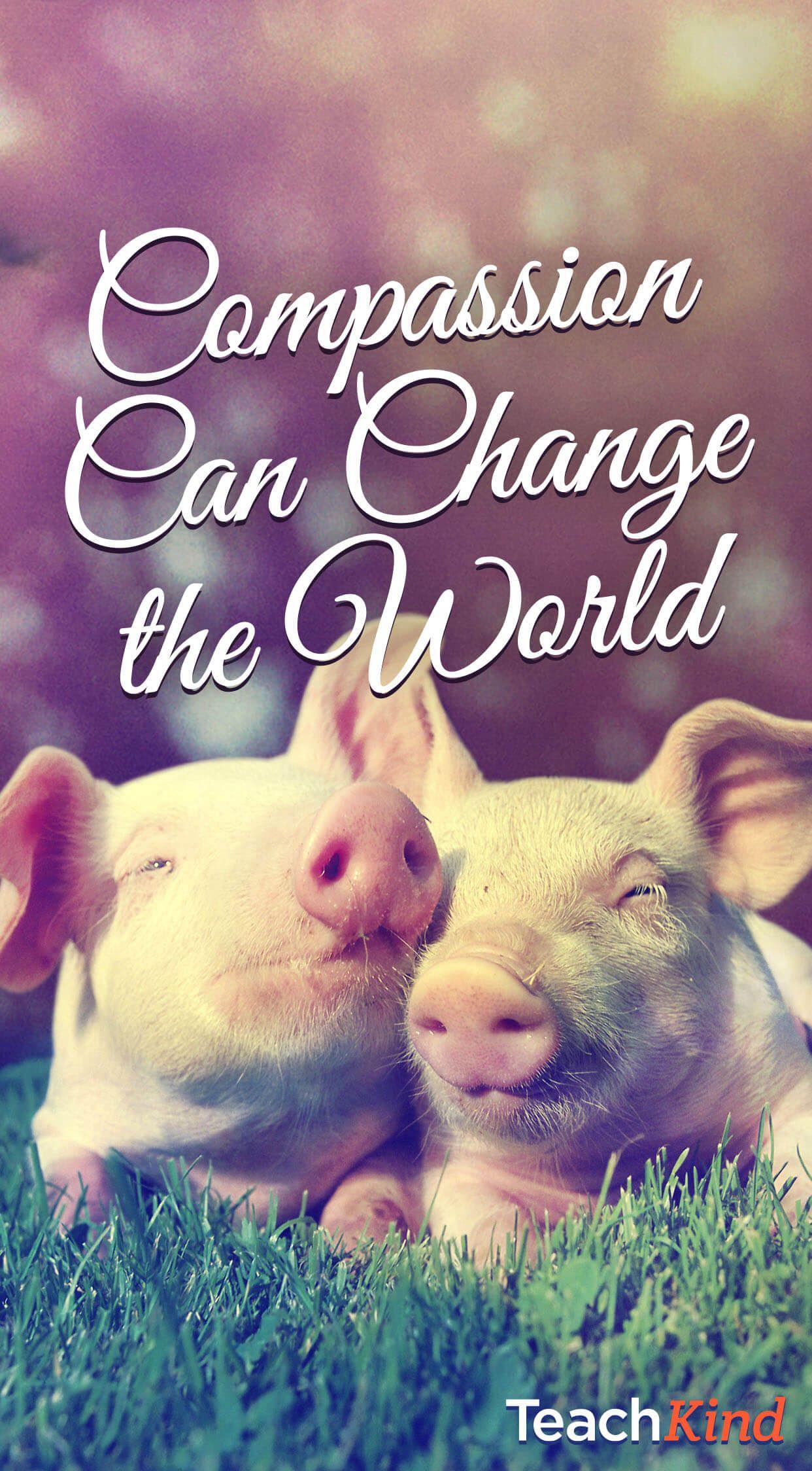 1242x2248 Free Animal Rights iPhone Wallpaper For Teachers