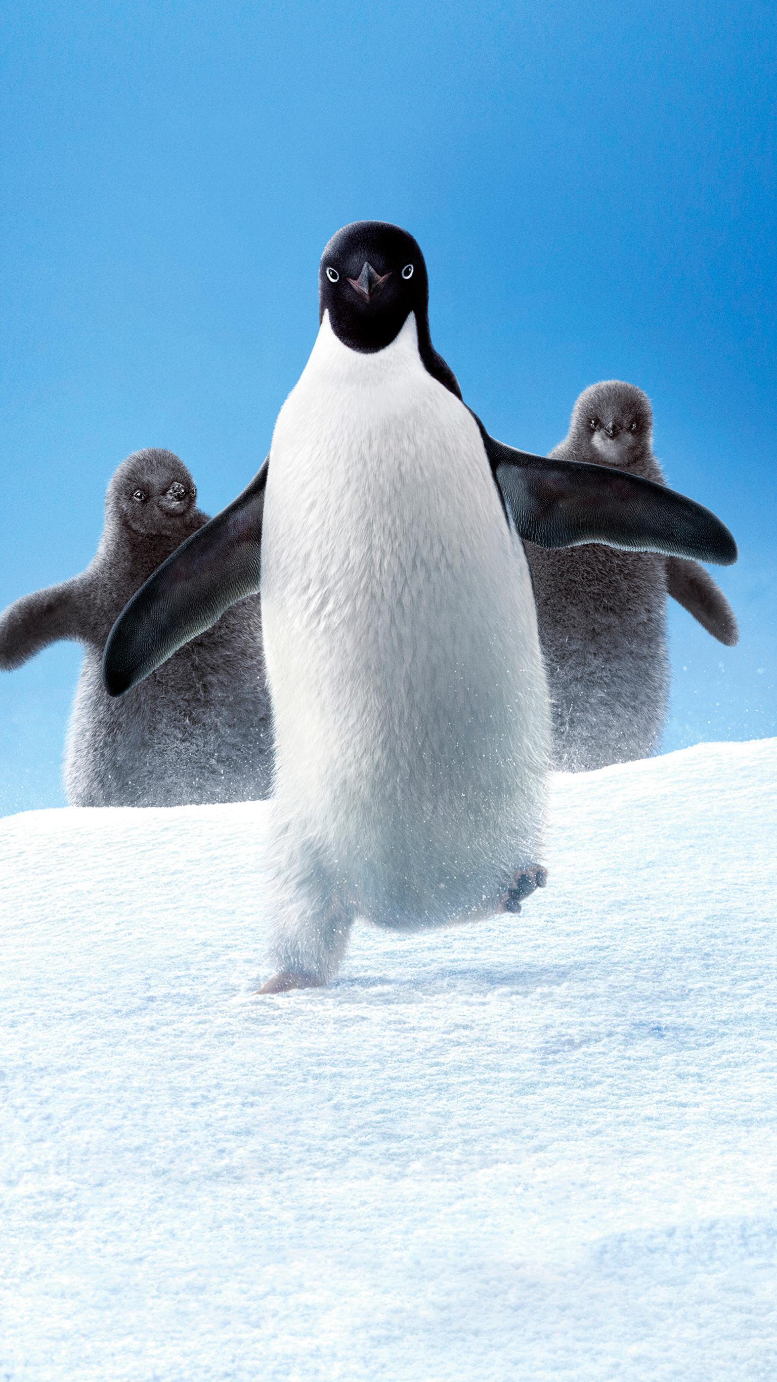 1536x2732 Penguins Phone Wallpaper