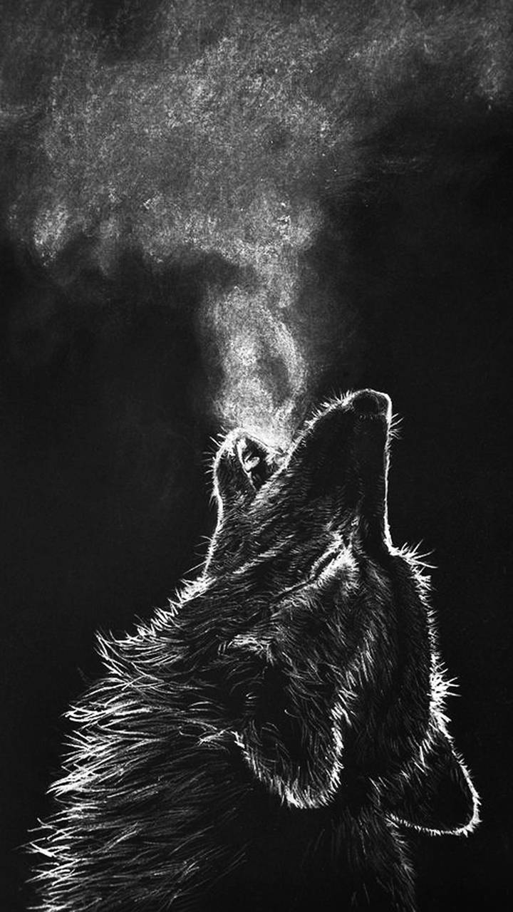 Black Wolf 3d Wallpaper Image Num 20