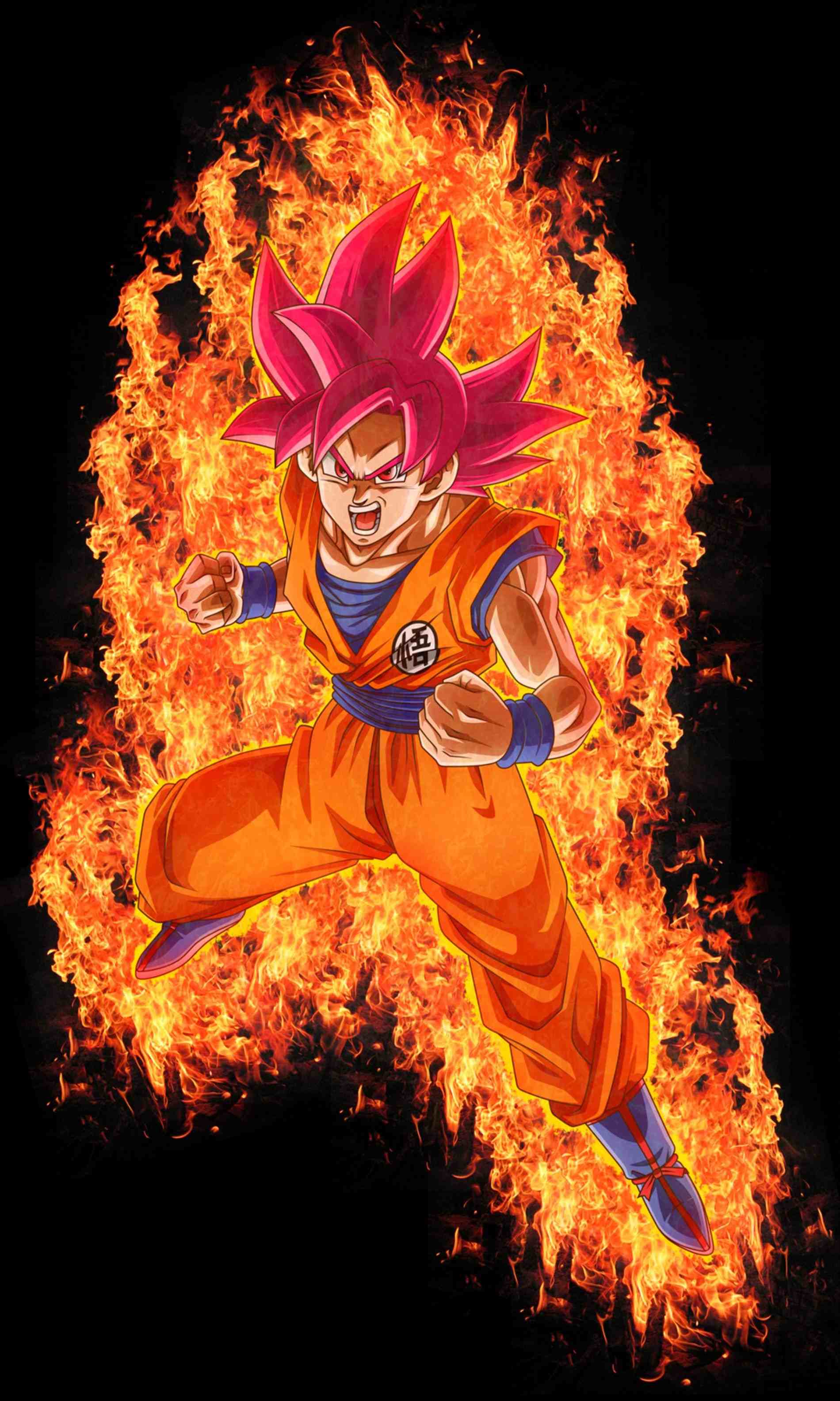 1900x3167 Goku Super Saiyan God Wallpaper