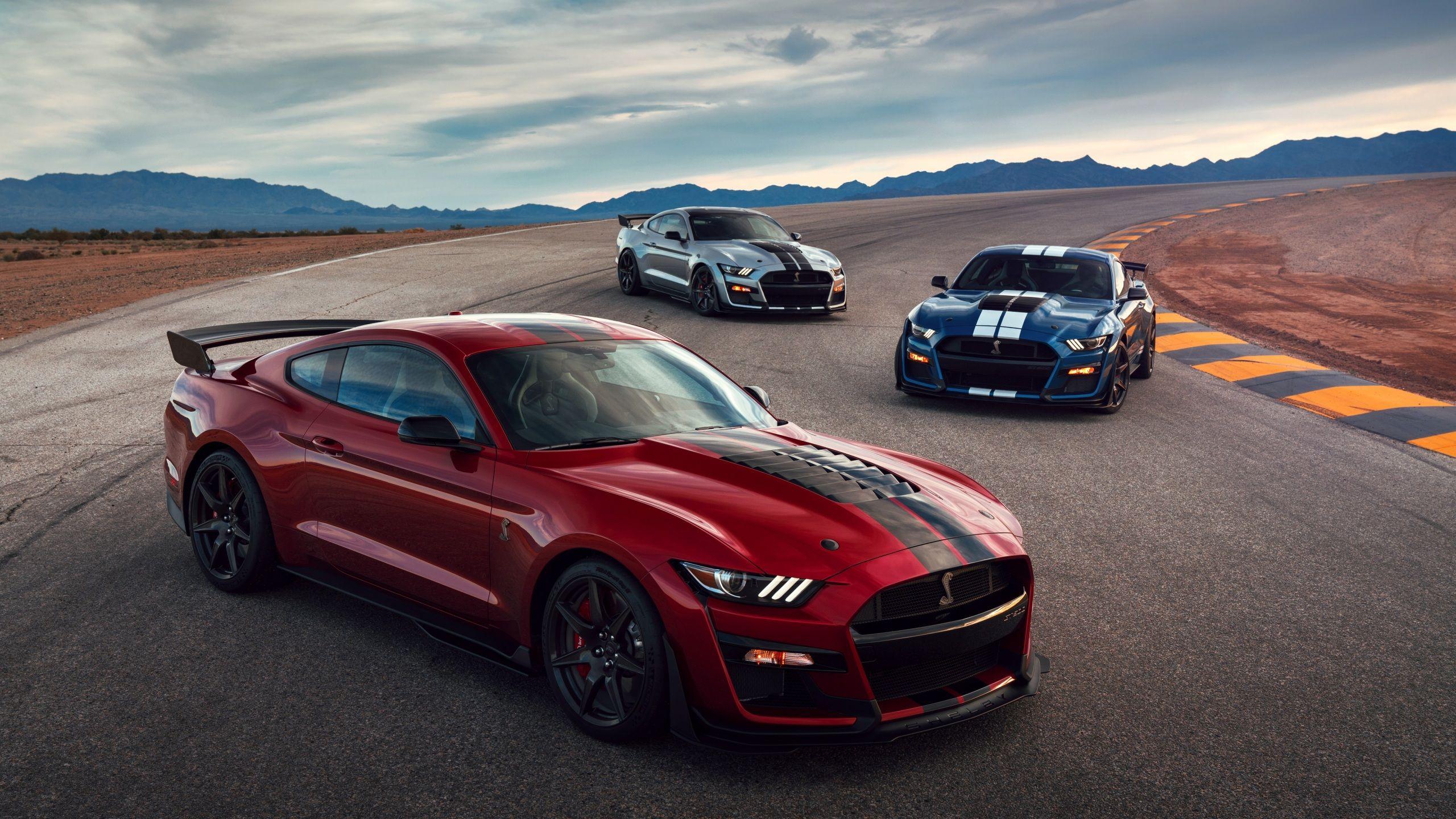2560x1440 Mustang 2019 Wallpaper