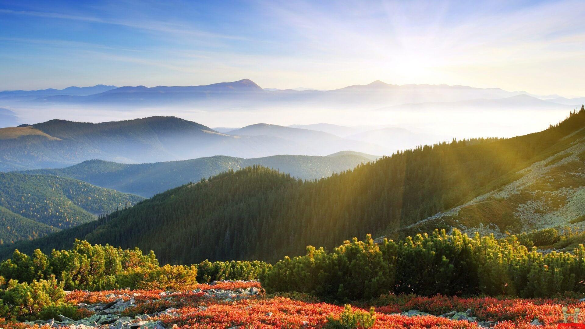 1920x1080 Smoky Mountain Superstitions Pines Condominimums
