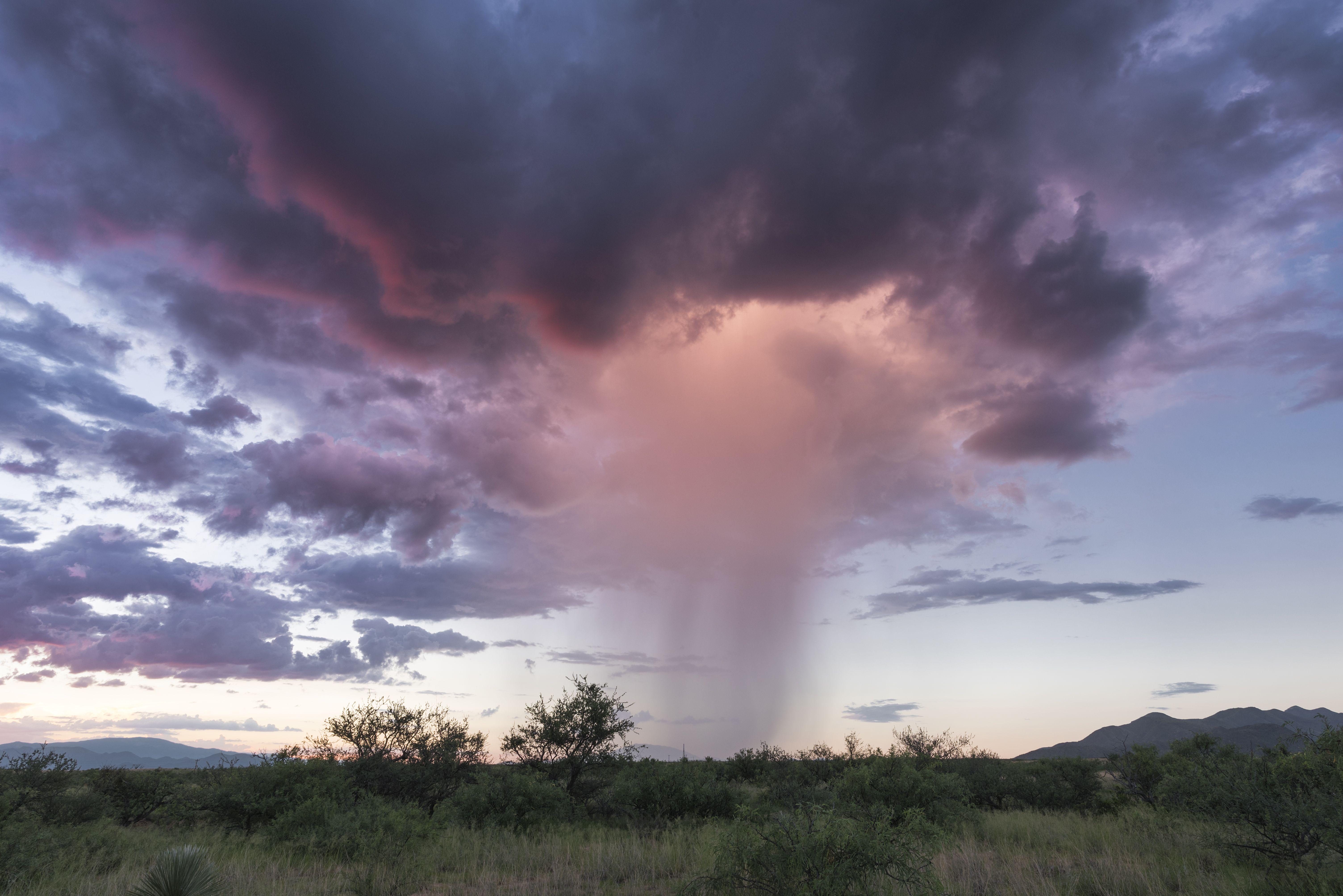 Arizona 2024 Monsoon Amity Beverie