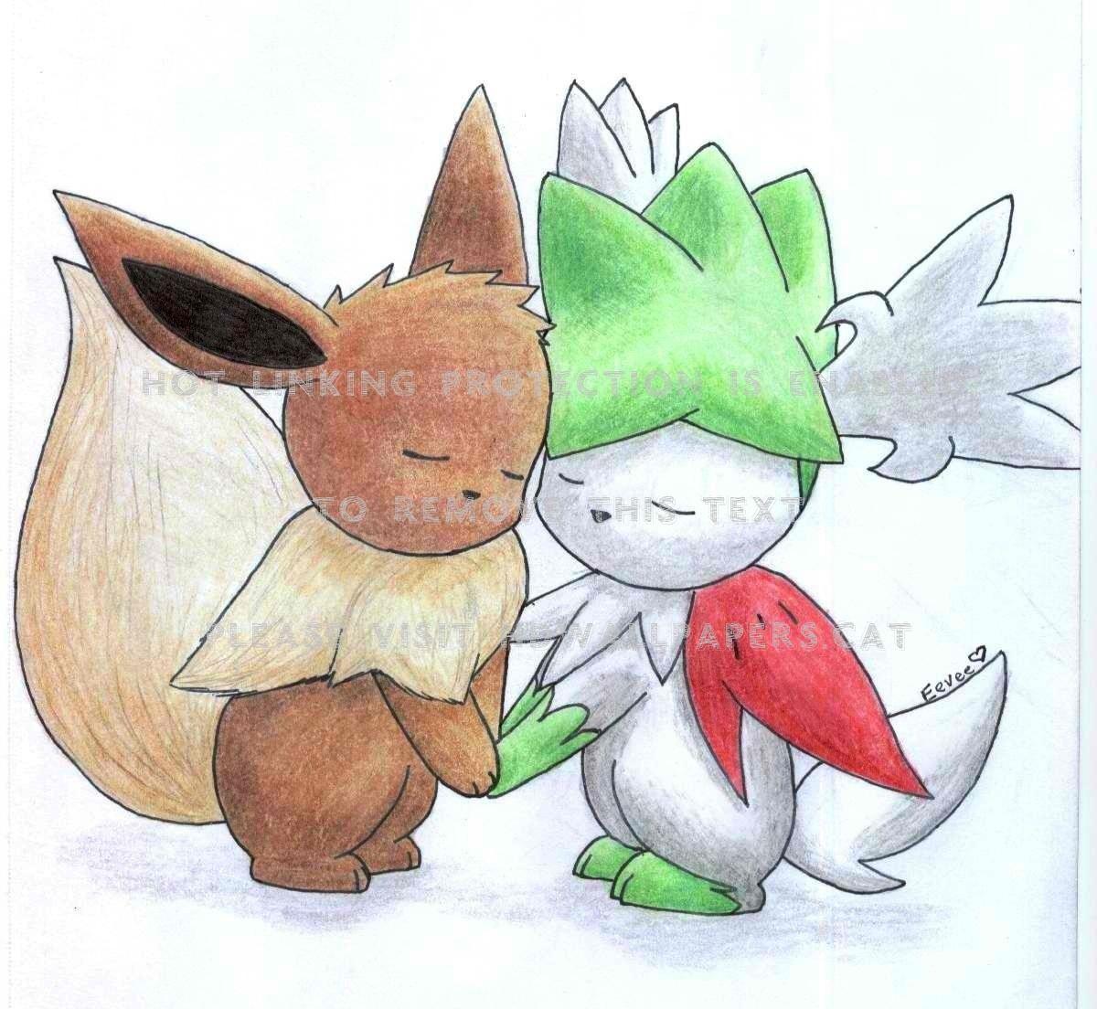 1200x1104 eevee and shaymin animals grass pokemon