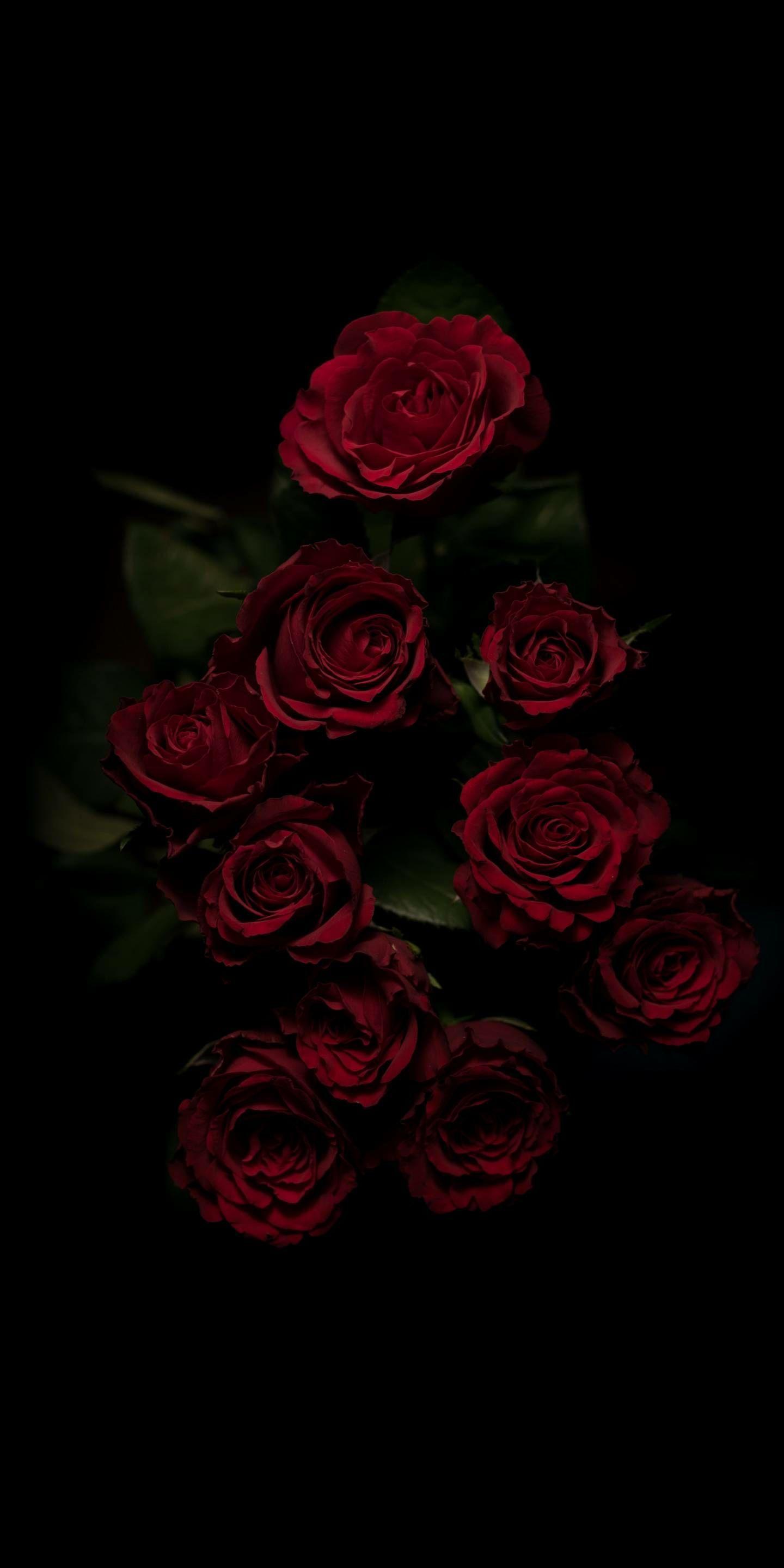 1440x2880 Aesthetics From my Camera Roll. Flowers black background, Rose wallpaper, Red roses wallpaper