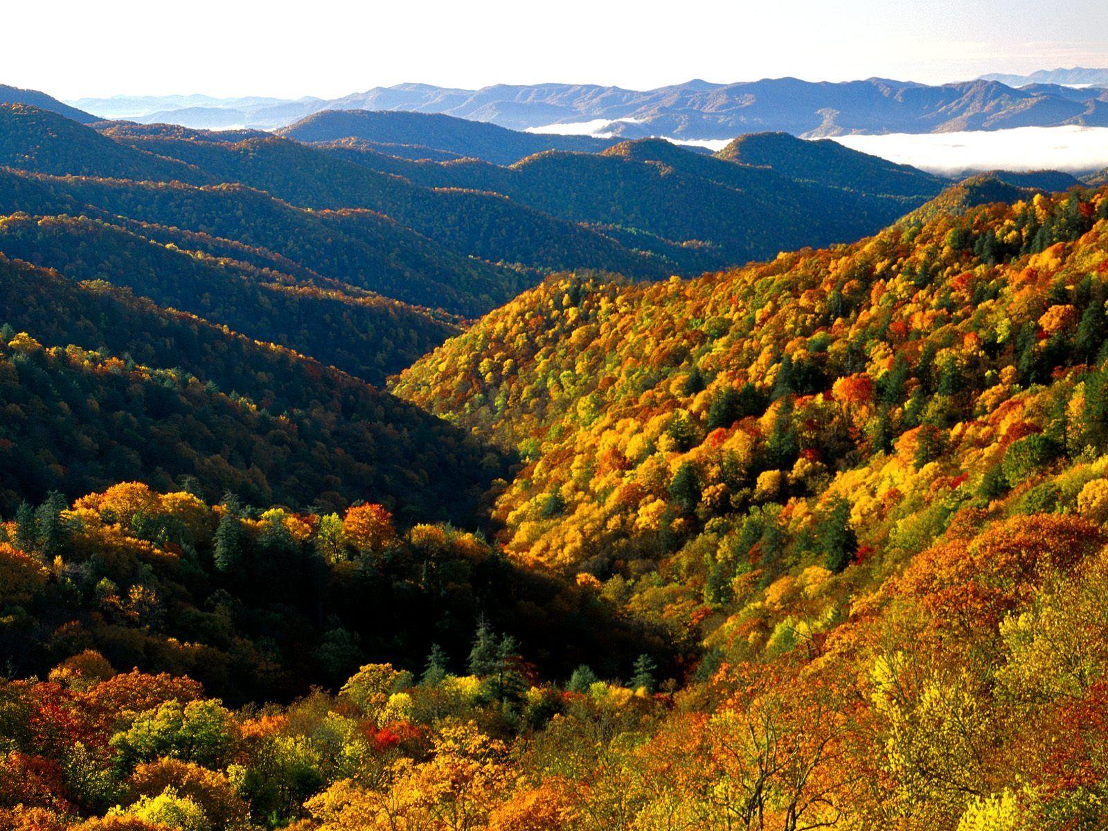 1600x1200 Great Smoky Mountain Wallpaper
