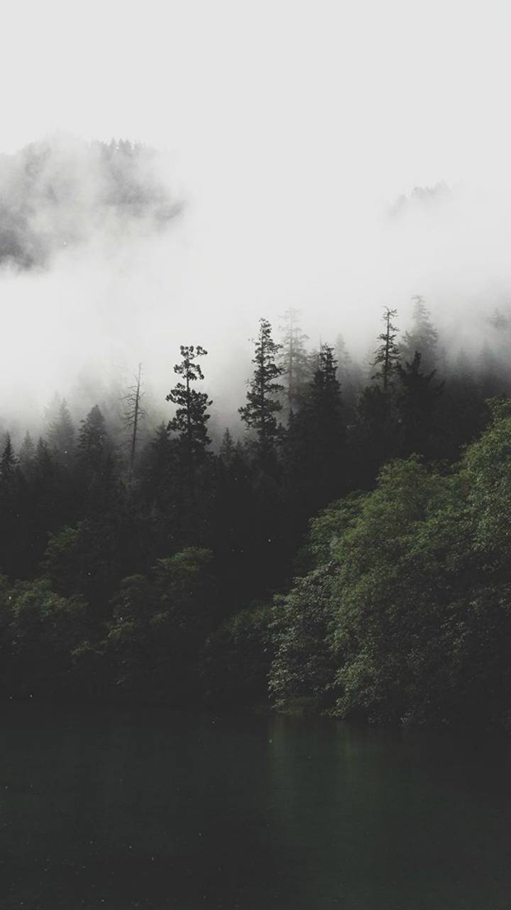 720x1280 Smoky Mountain wallpaper