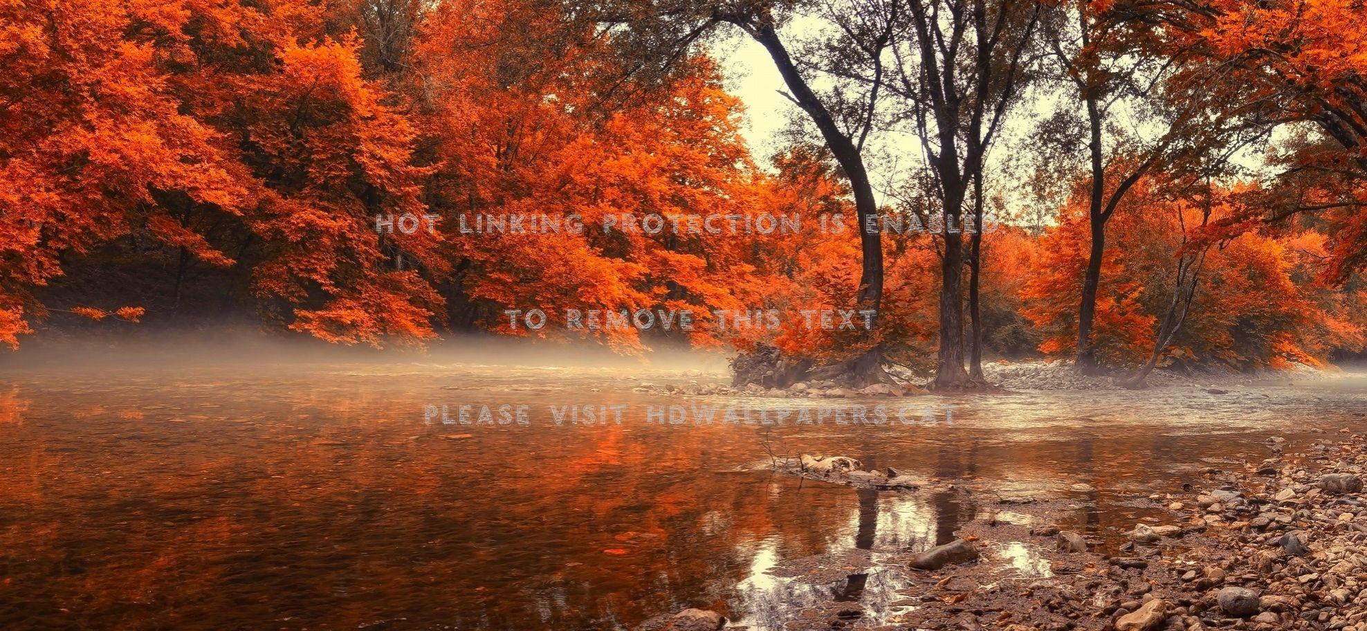 1976x912 misty river fog greece trees morning red