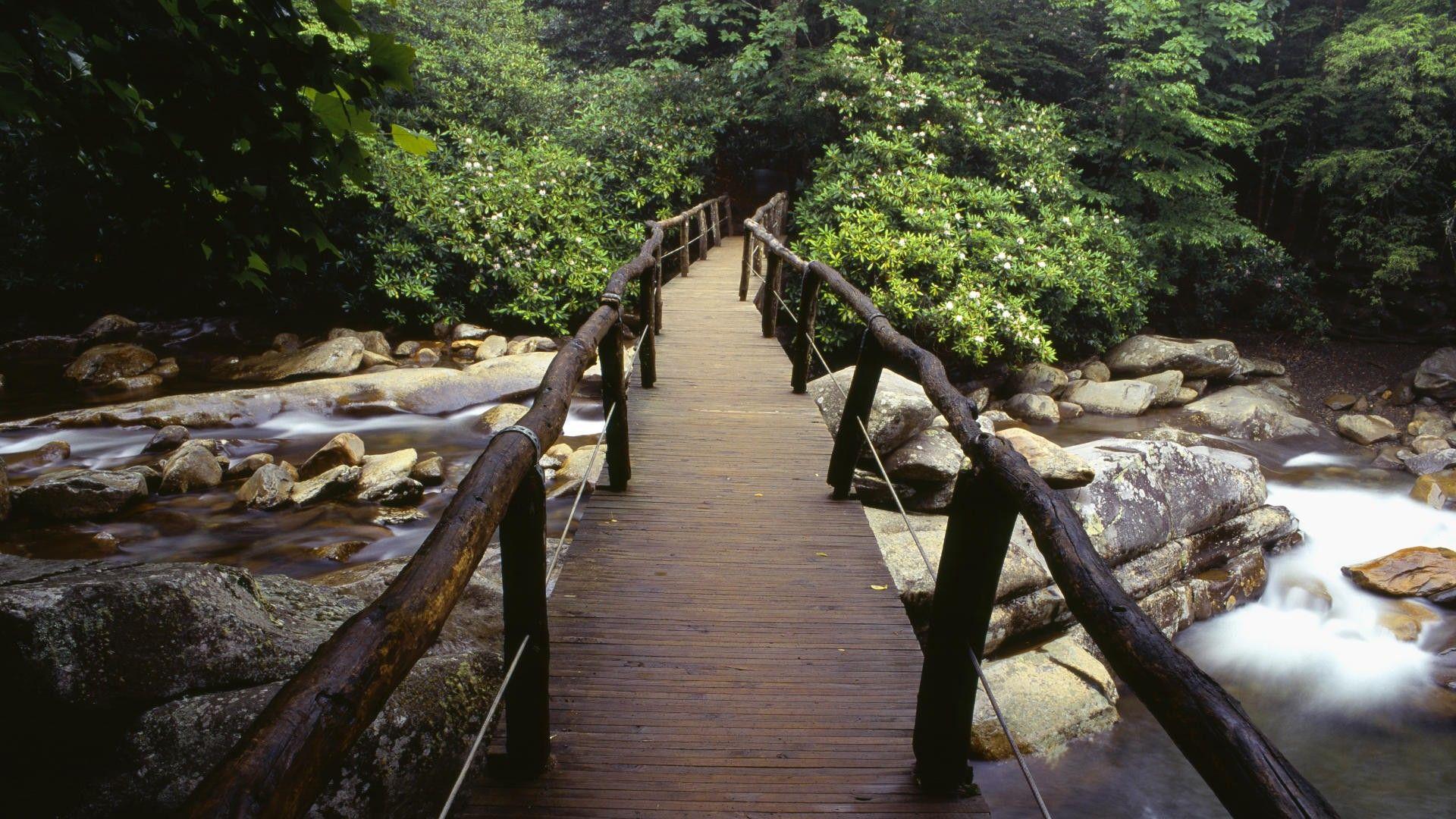 1920x1080 landscapes, nature, tennessee, National Park, Great Smoky Mountains wallpaper