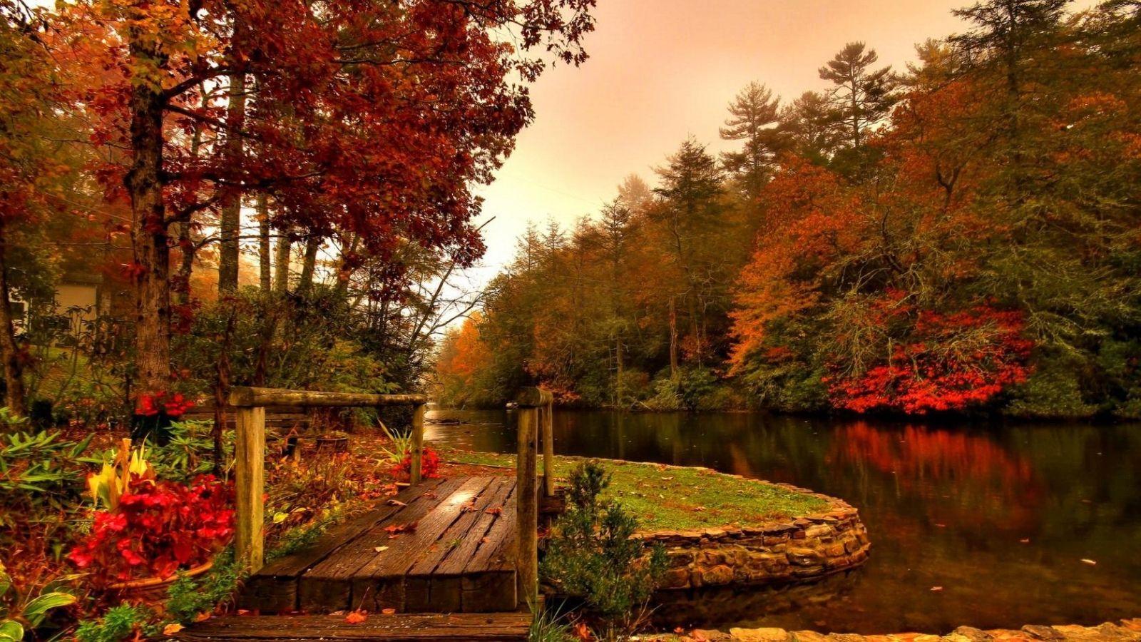 1600x900 river in autumn wallpaper 1600x900 53404d5a7bf12 jpg 707 - Misty River In Autumn In Latvia
