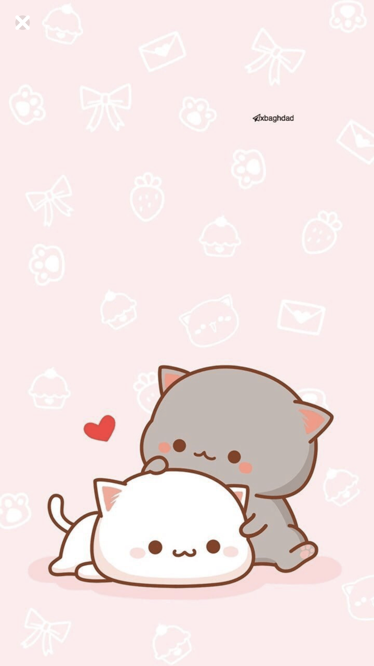 1242x2208 Cute Cat iPhone Wallpaper Kawaii