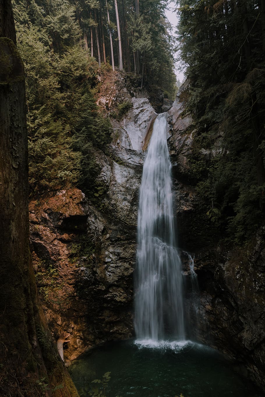 910x1365 canada, cascade falls trail, vertical, HD wallpaper, wallpaper, dreamy, misty, creation, CC public domain, royalty free