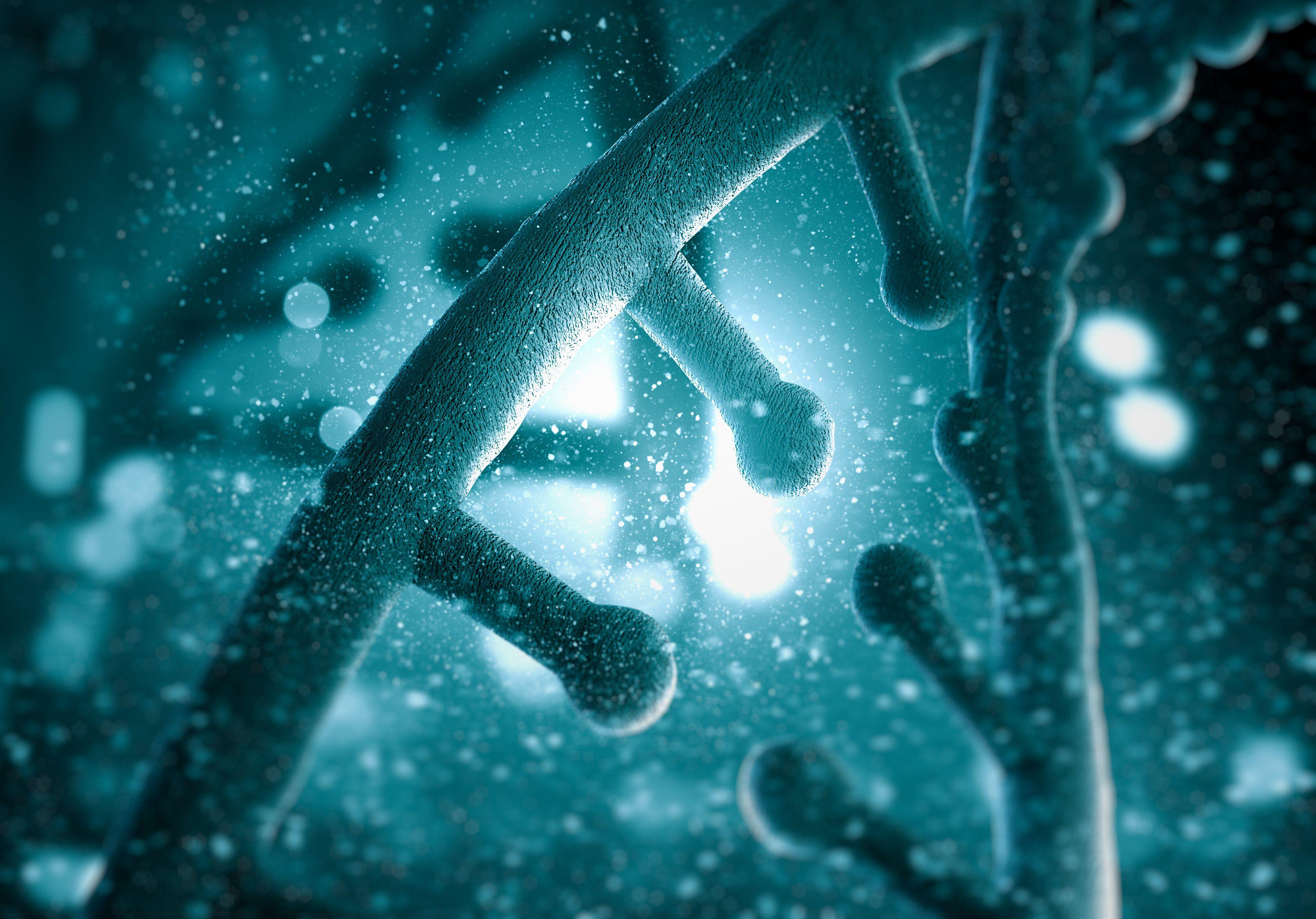 4000x2793 Gene Wallpaper. Eugene Rapunzel Wallpaper, Gene Samurai Champloo Wallpaper and Gene Wallpaper