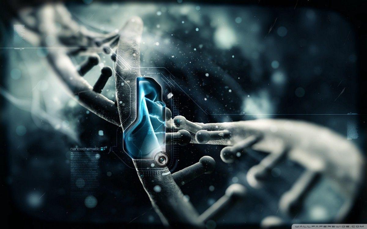 1200x750 Genes, DNA, Chromosomes, and Genomes.