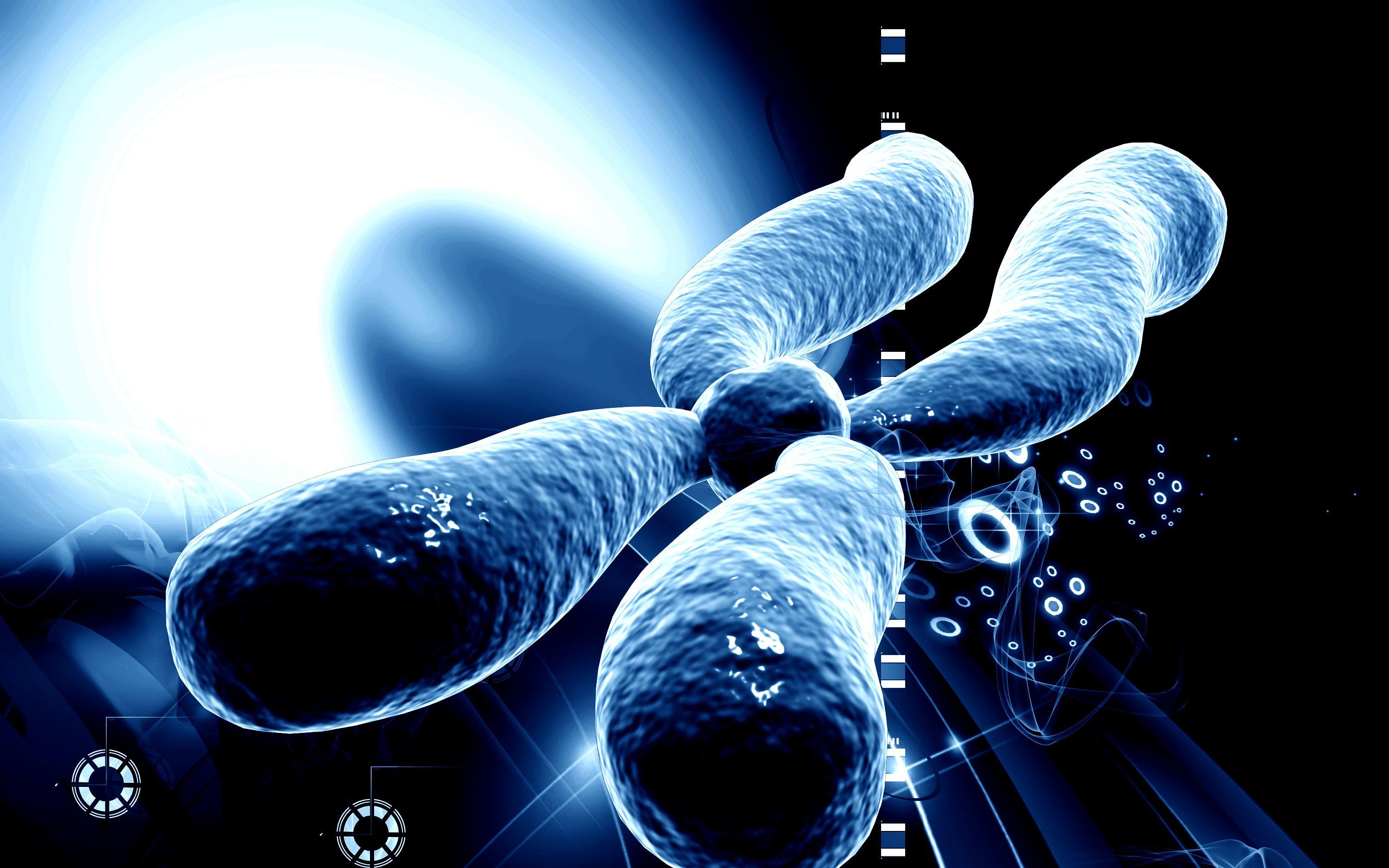 Chromosome Wallpapers - Top Free Chromosome Backgrounds - WallpaperAccess