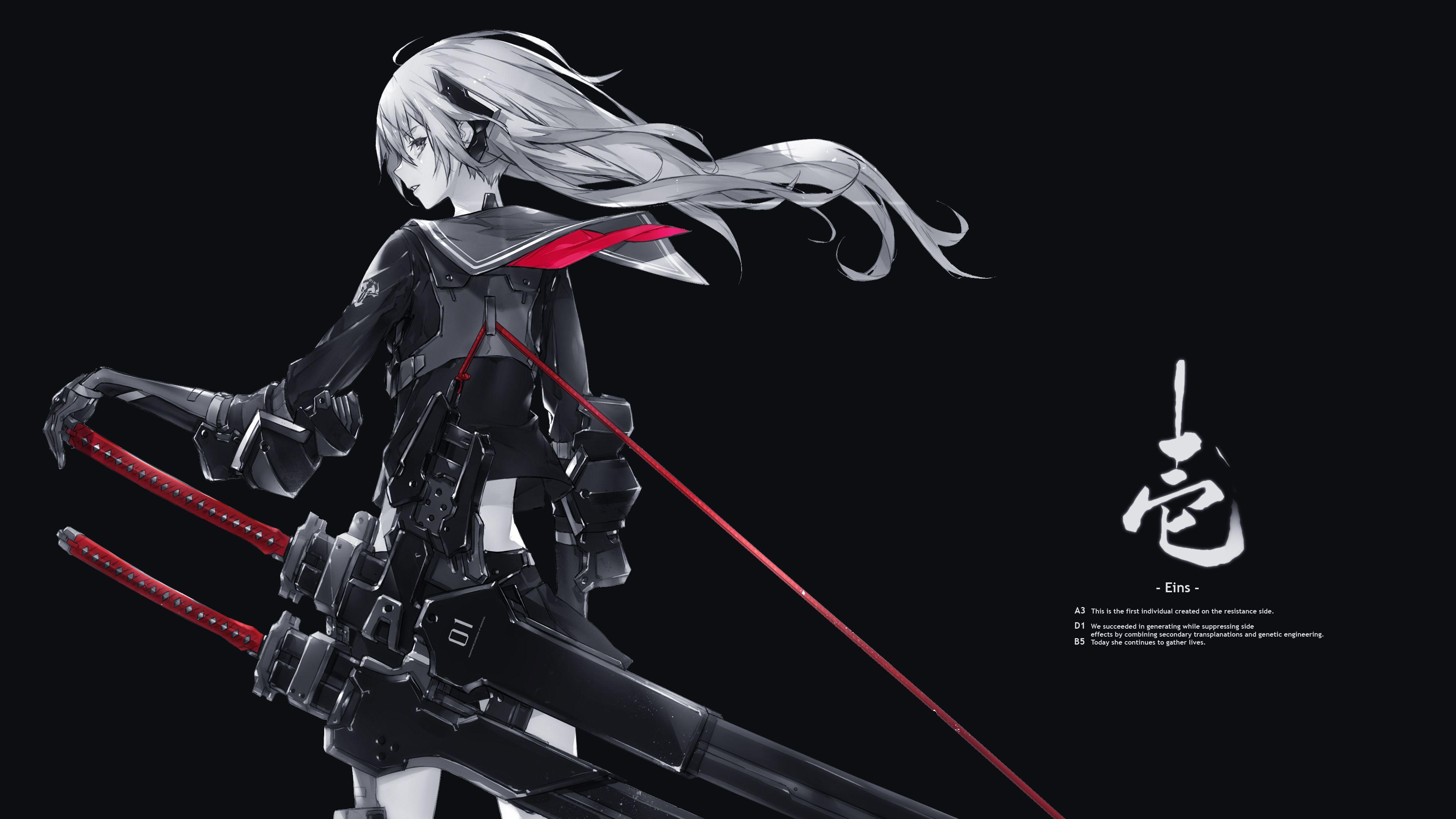 3840x2160 Girl With Two Katanas Wallpaperx2160