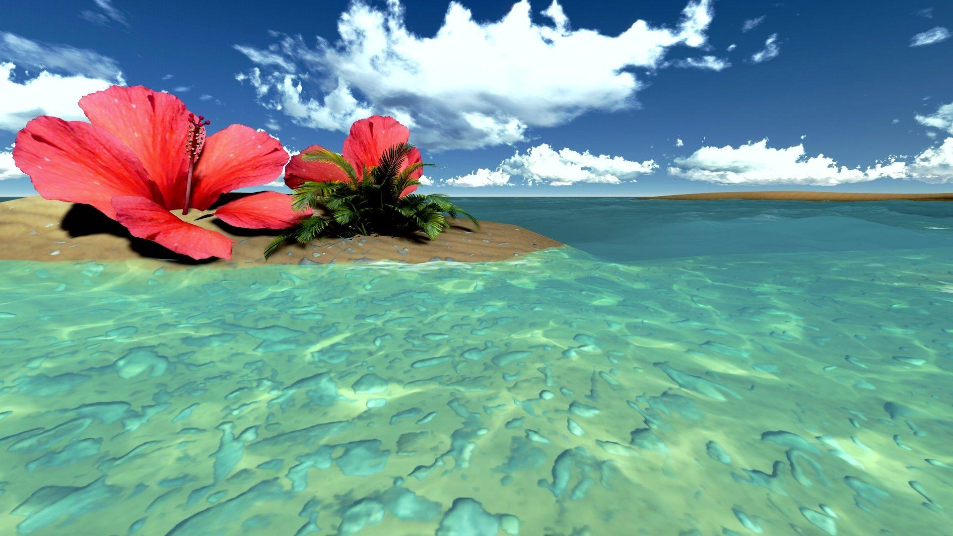 Hibiscus 1920X1080 HD Wallpapers - Top Free Hibiscus 1920X1080 HD