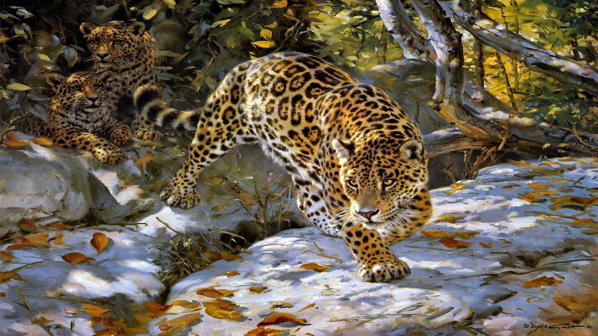 1920x1080 The jaguar spotted cat wold big animals HD Wallpaper 426 - Jaguar Animal HD Wallpaper