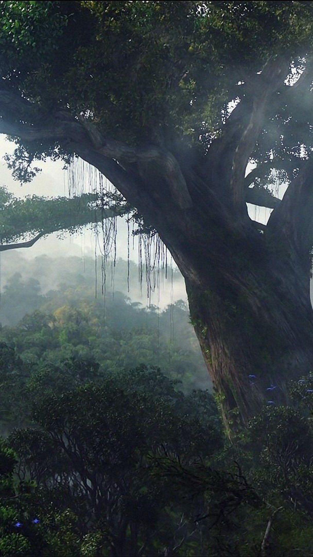 Avatar Tree Wallpapers Top Free Avatar Tree Backgrounds WallpaperAccess