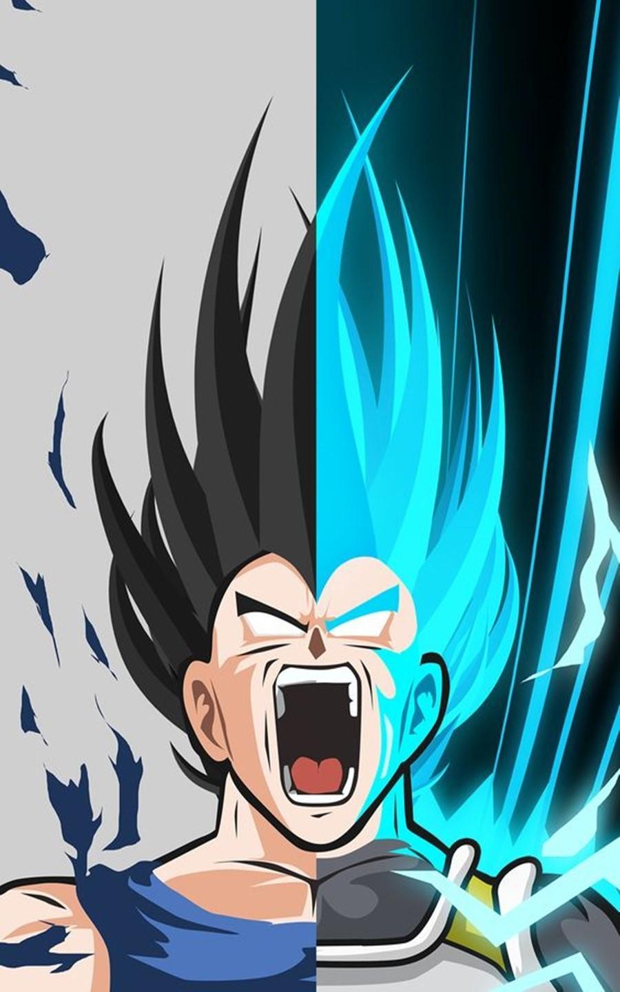 900x1440 Vegeta Wallpaper Art for Android