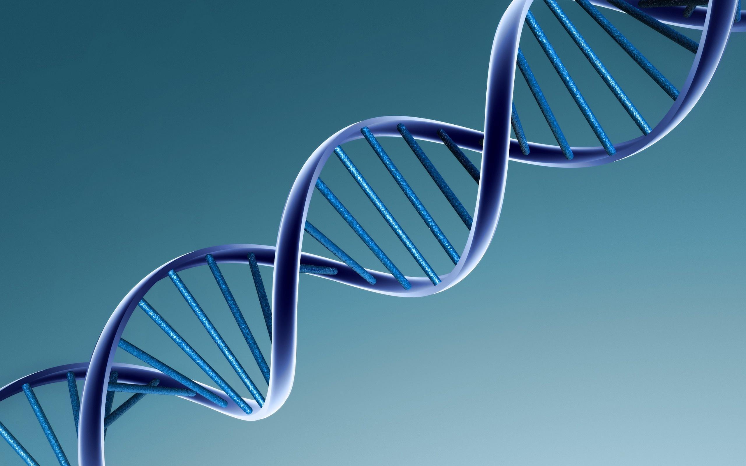 2560x1600 Dna Image Free Download