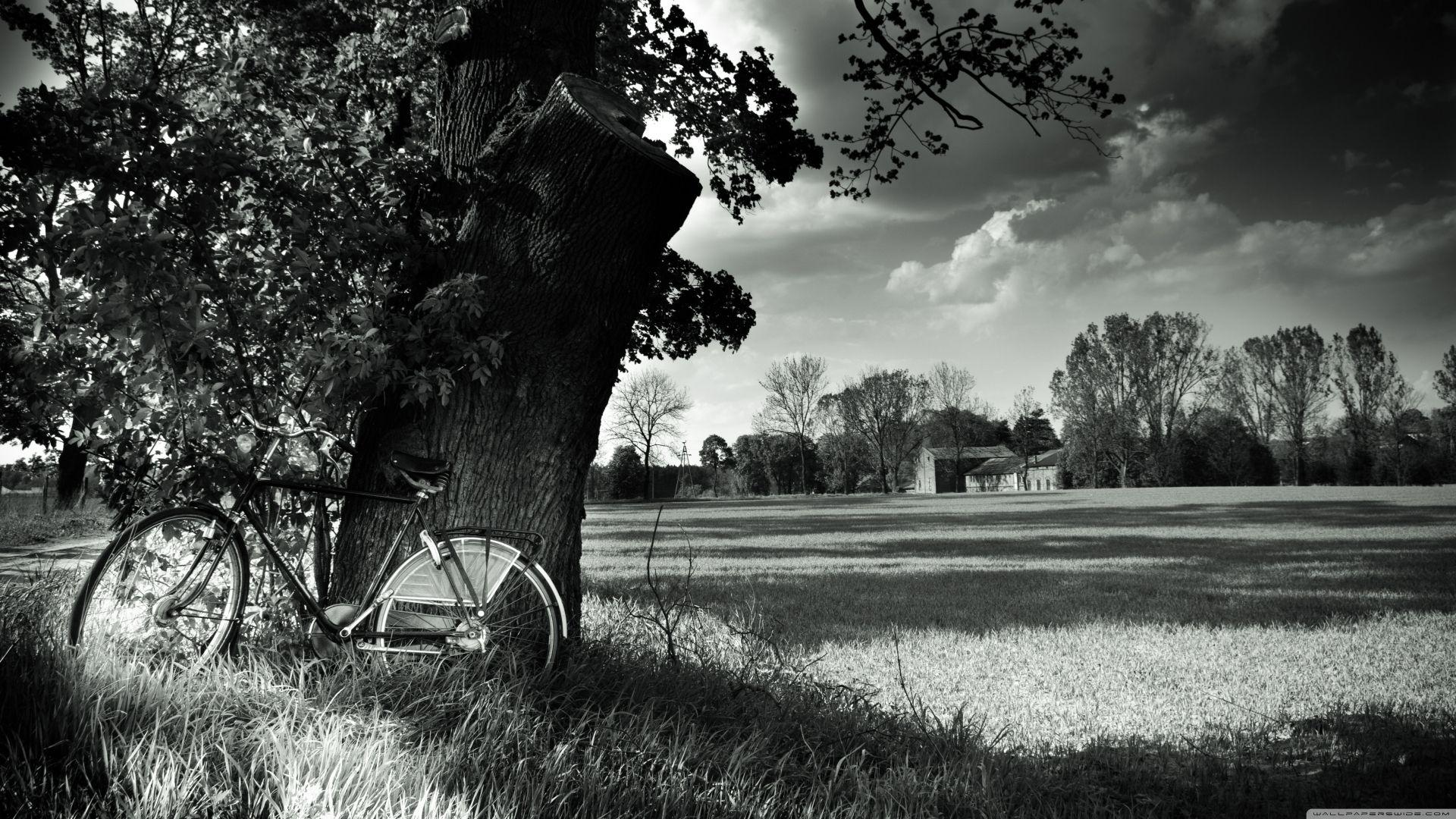 bike-black-and-white-wallpapers-top-free-bike-black-and-white