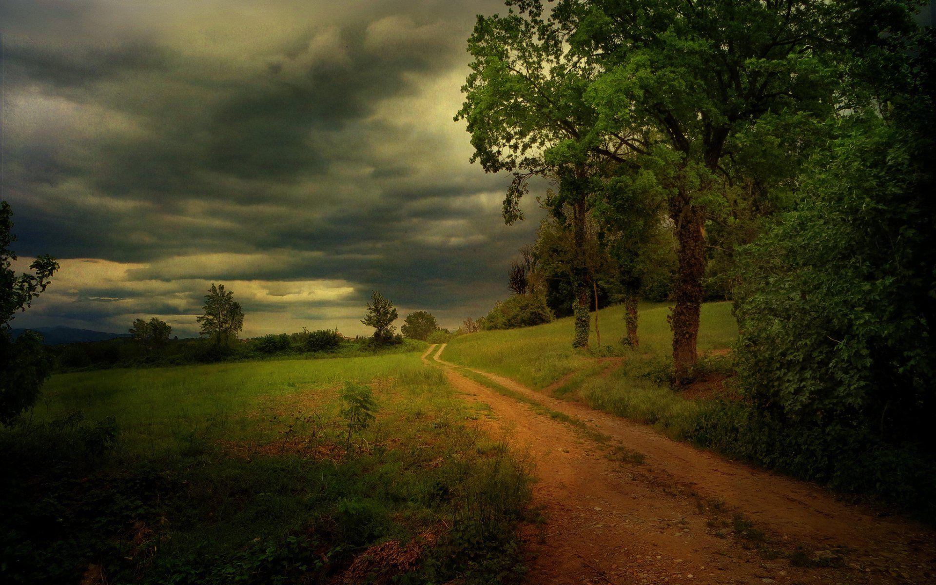 1920x1200 Storm Dirty Road Trees Plants desktop PC and Mac wallpaper