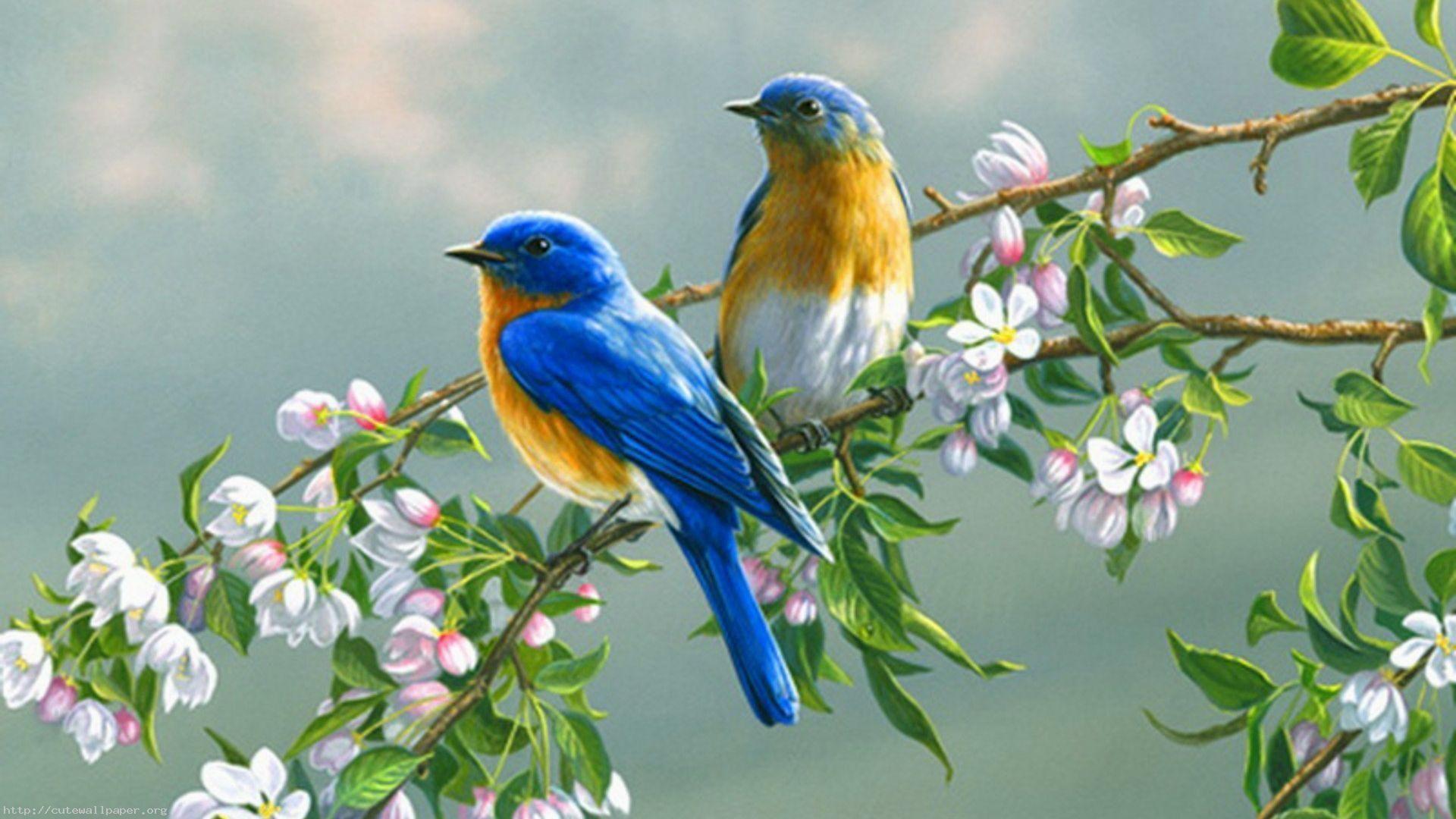 Bird and Tree Desktop Wallpapers - Top Free Bird and Tree Desktop