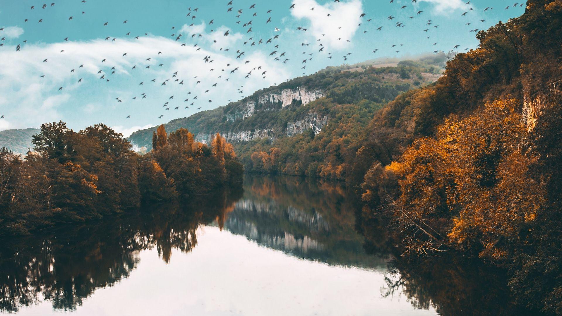 1920x1080 lake birds trees flight reflection autumn wallpaper [1920x1080]. Bird tree, Wallpaper, Desktop background image