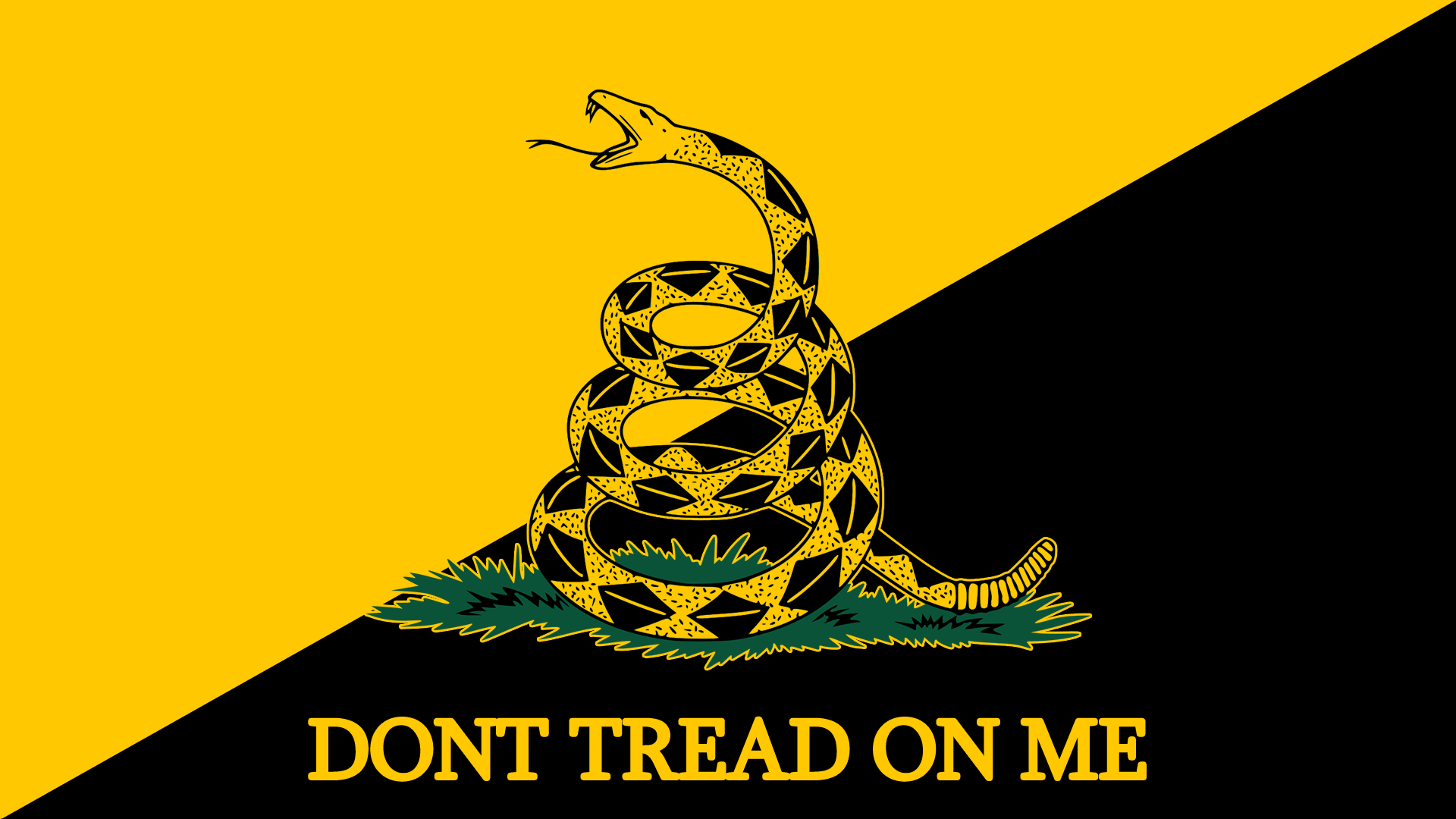 1920x1080 Gadsden Flag HD Hình nền và Hình nền