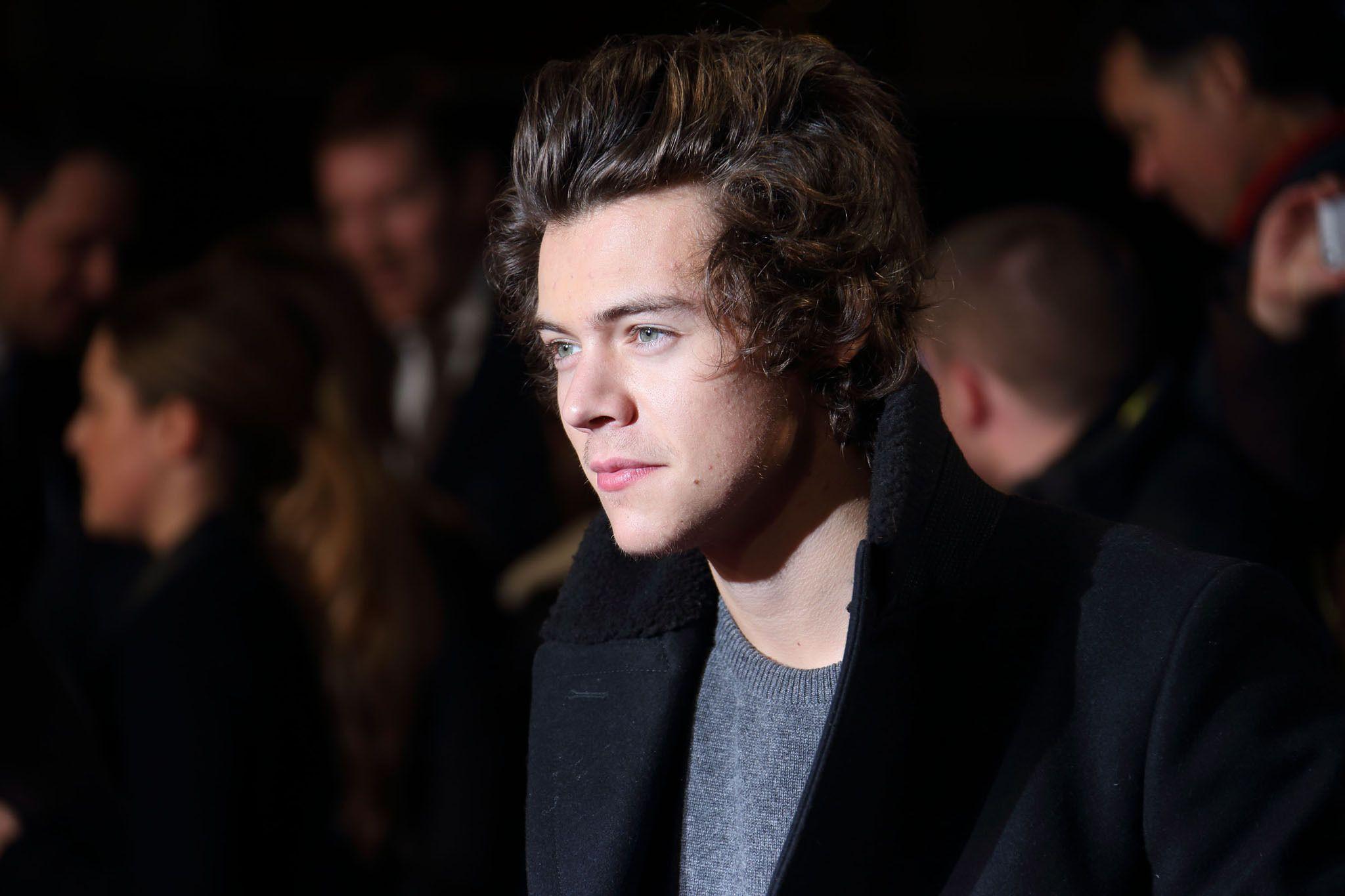 2048x1365 Harry Styles Computer Background. Harry Styles Look for Wallpaper, Visual Styles Wallpaper and I Love You Harry Styles Wallpaper