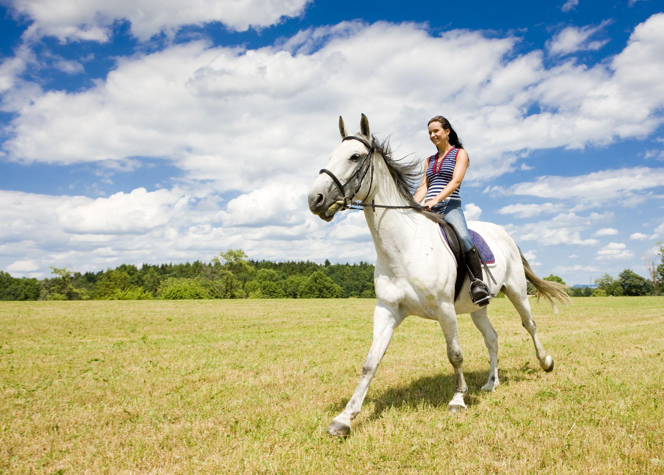 Horse Riding Wallpapers - Top Free Horse Riding Backgrounds