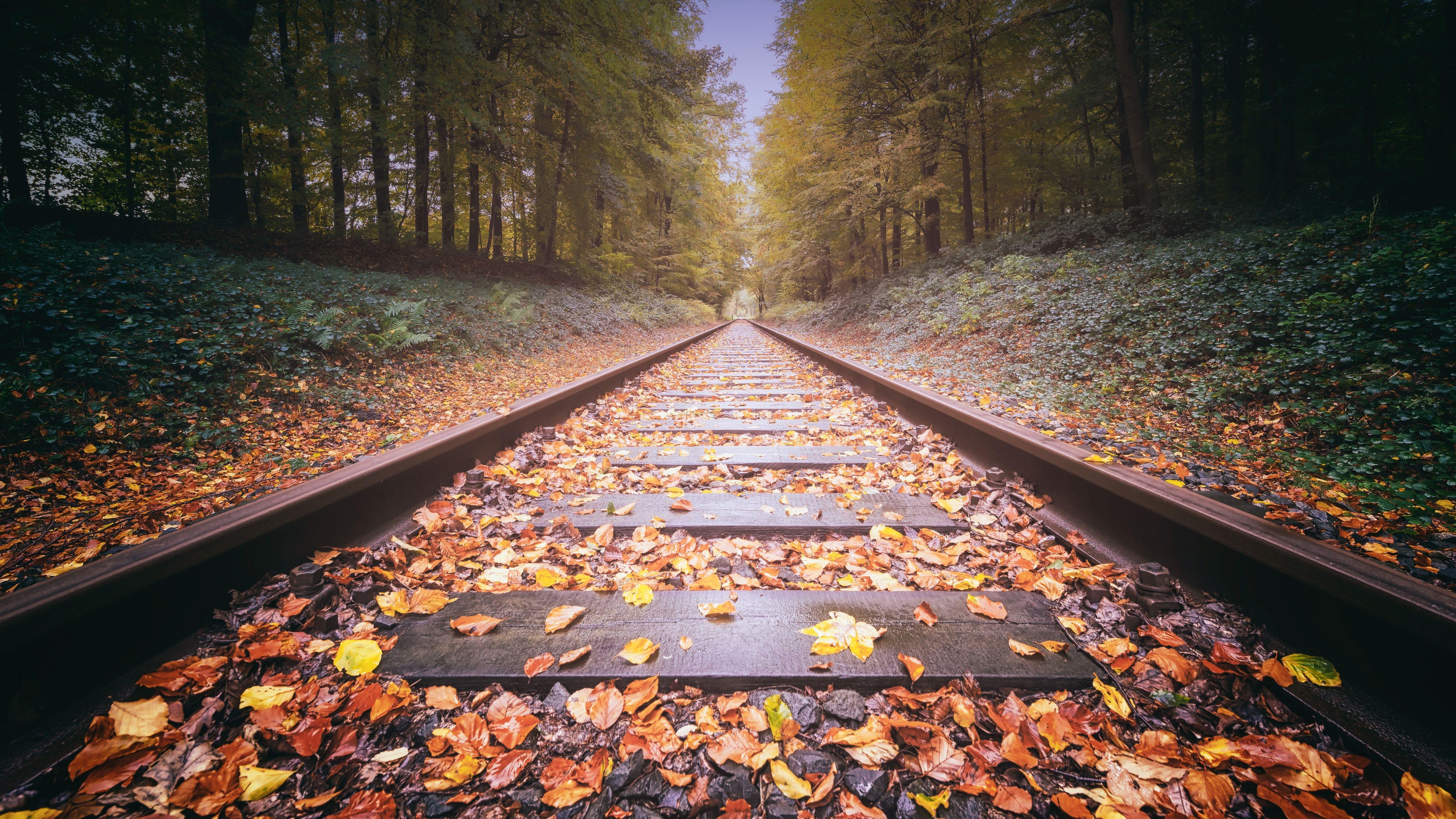 5120x2880 Railway Track 5k HD 4k Wallpaper, Image, Background, Photo and Picture